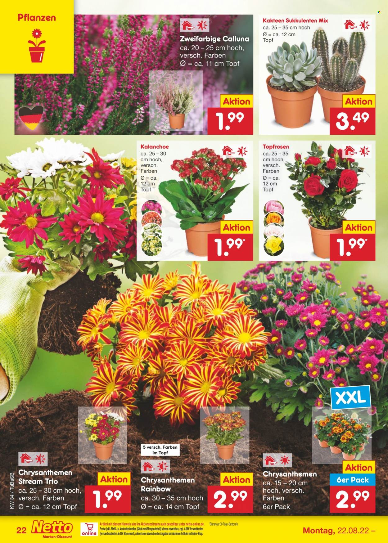 Netto Marken-Discount Prospekte  - 22.08.2022 - 27.08.2022. Seite 22