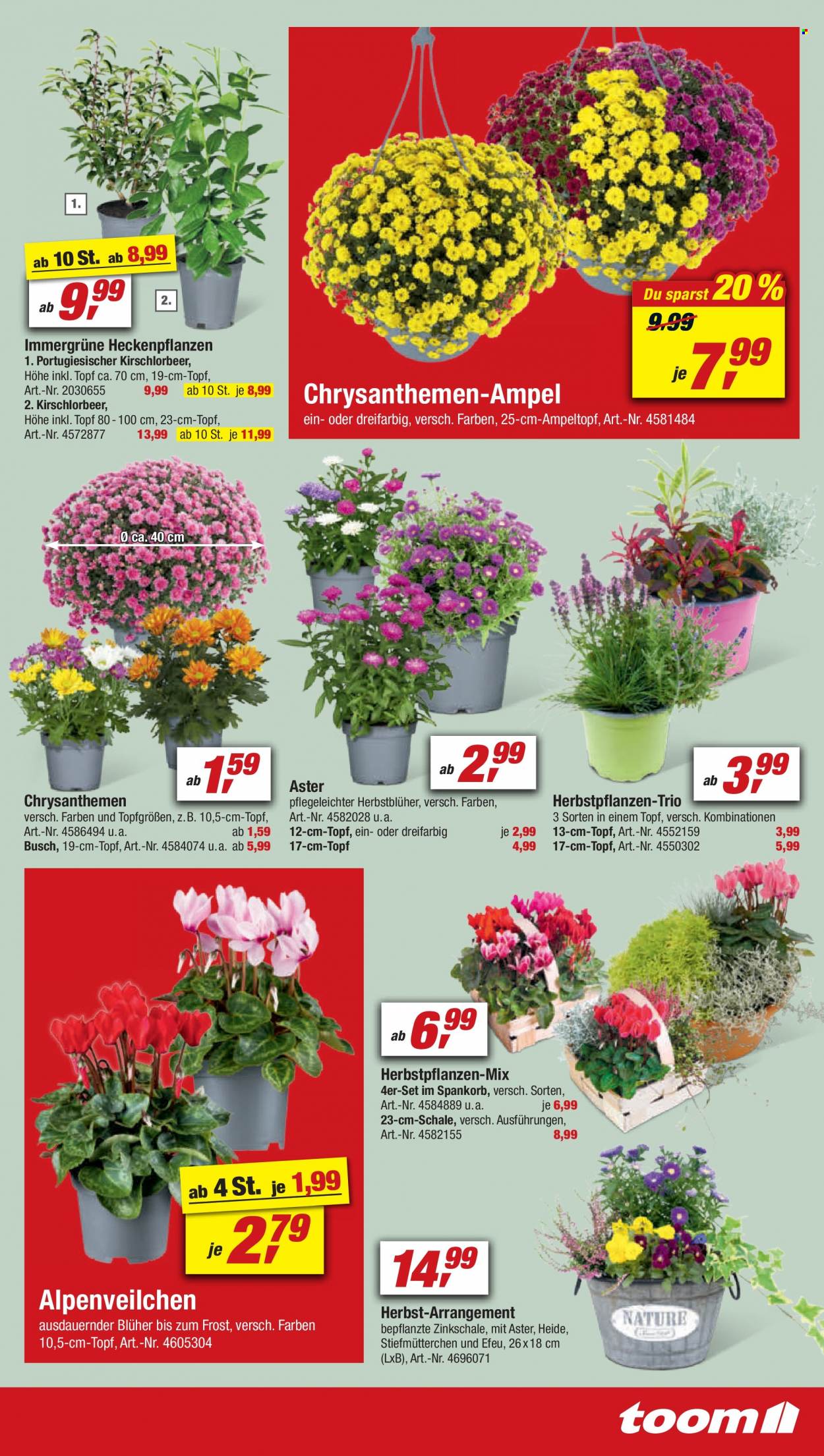 toom Baumarkt Prospekte  - 27.08.2022 - 2.09.2022. Seite 5