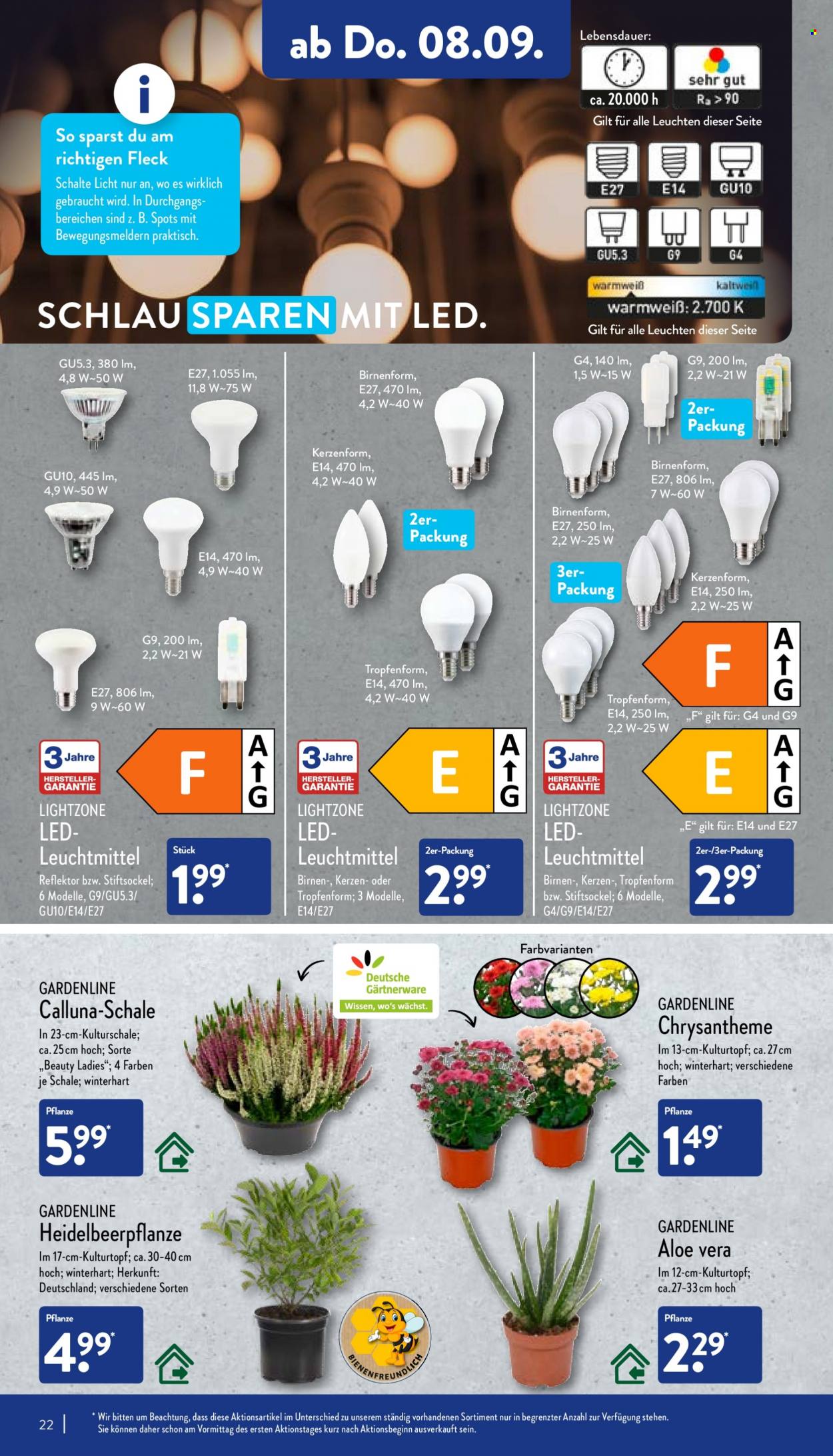 ALDI Nord Prospekte  - 5.09.2022 - 10.09.2022. Seite 22