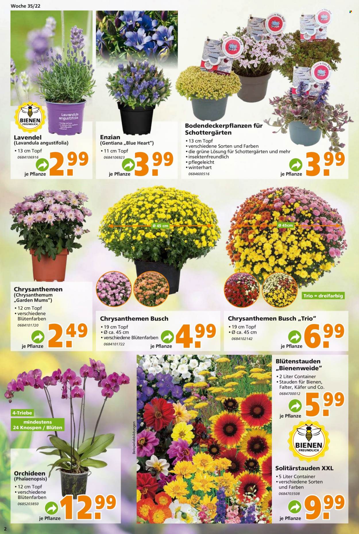 Globus Baumarkt Prospekte  - 29.08.2022 - 3.09.2022. Seite 2