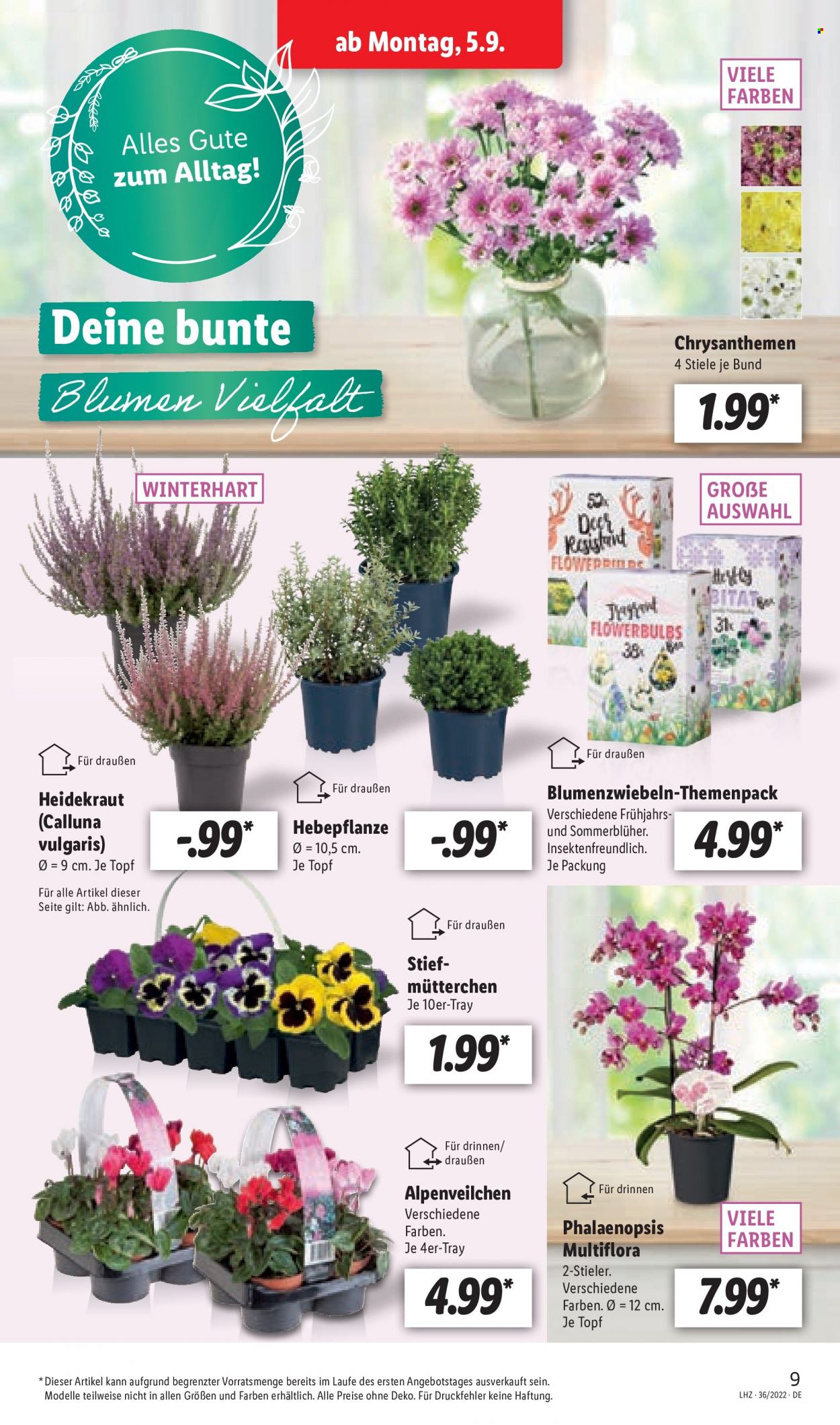 Lidl Prospekte  - 5.09.2022 - 10.09.2022. Seite 9