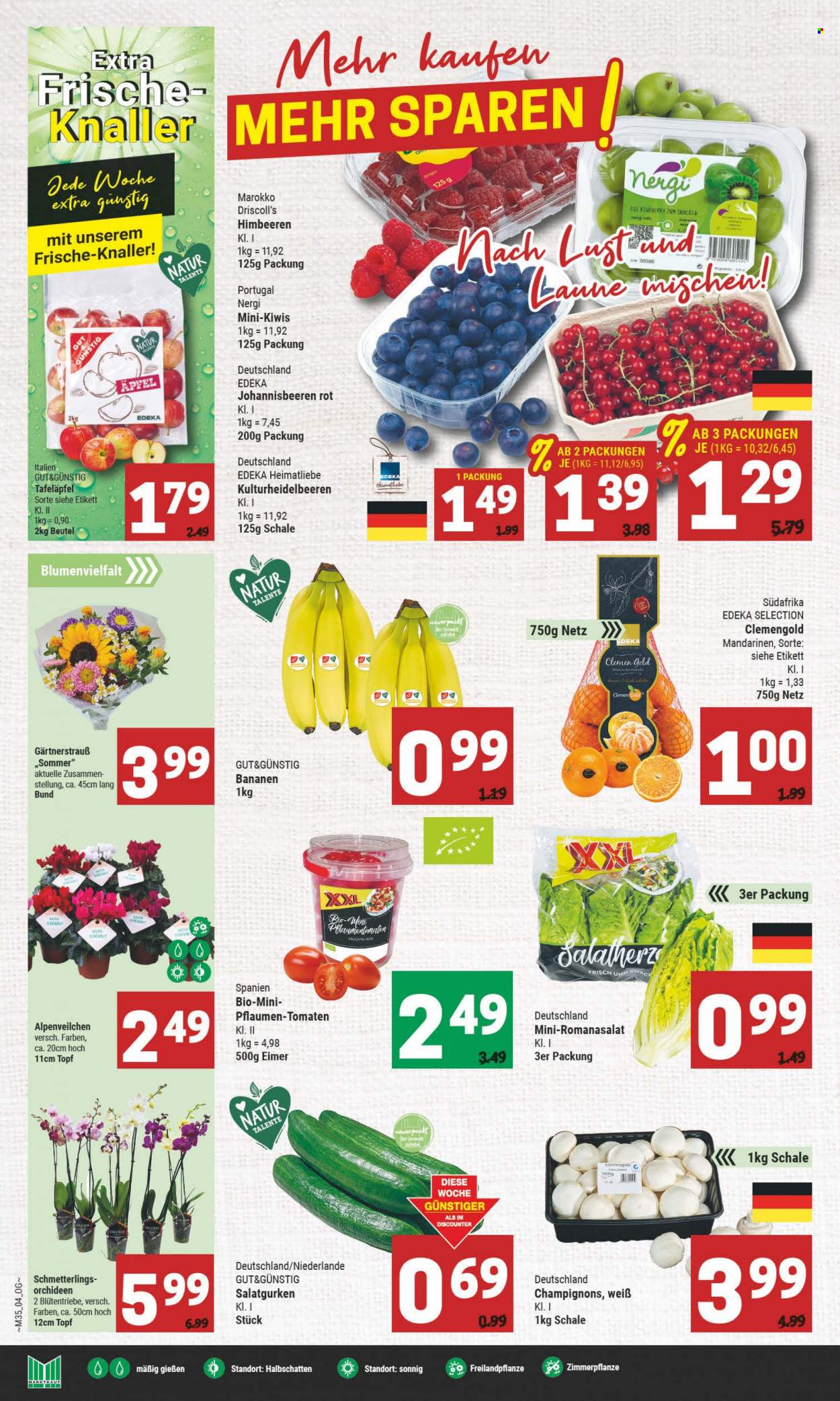 Marktkauf Prospekte  - 29.08.2022 - 3.09.2022. Seite 4