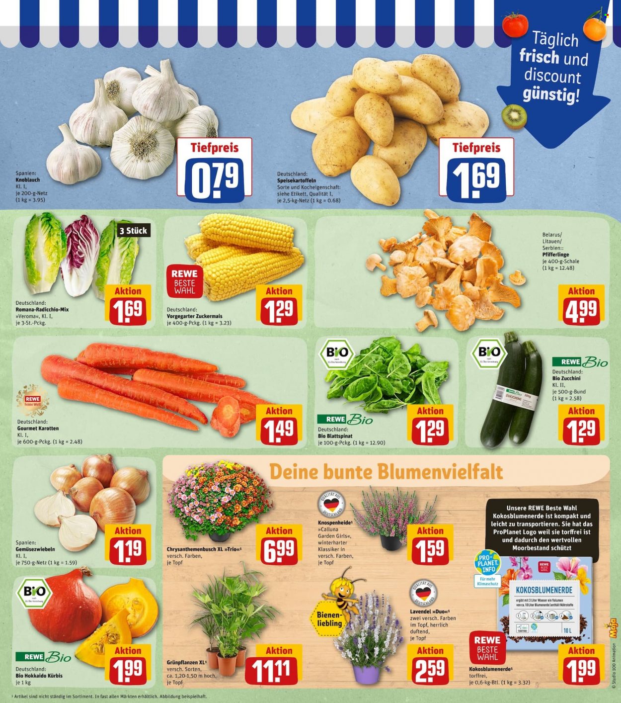 REWE Prospekte  - 29.08.2022 - 3.09.2022. Seite 5