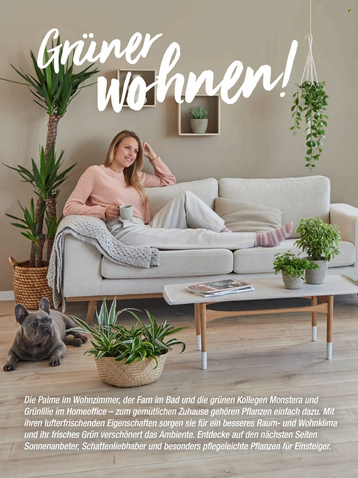 toom Baumarkt Prospekte  - 2.09.2022 - 31.03.2023. Seite 124