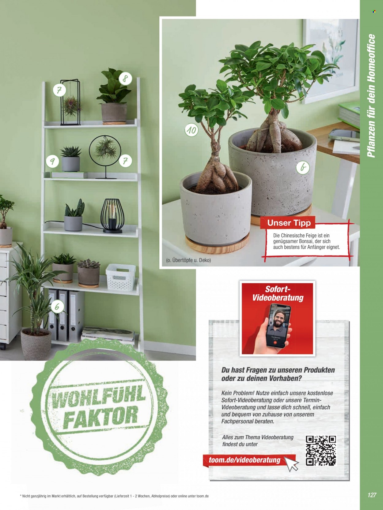 toom Baumarkt Prospekte  - 2.09.2022 - 31.03.2023. Seite 127