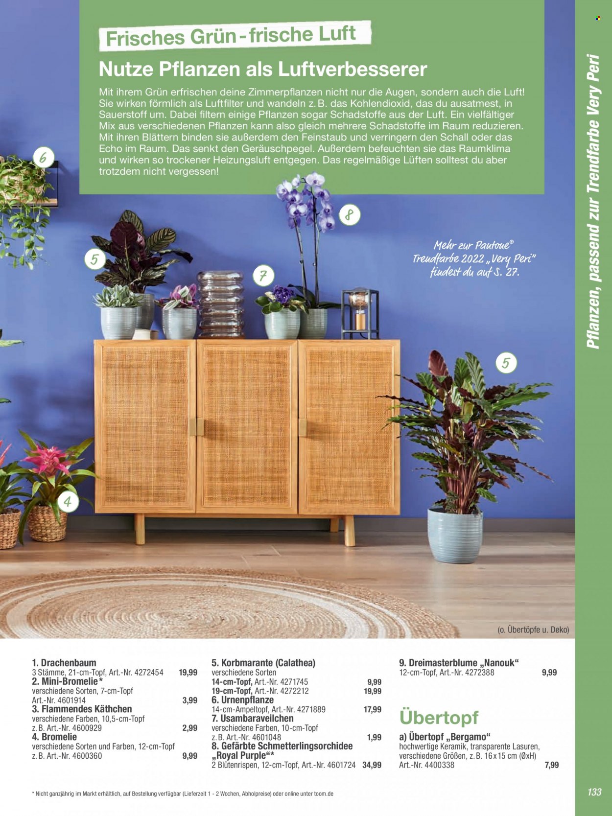 toom Baumarkt Prospekte  - 2.09.2022 - 31.03.2023. Seite 133