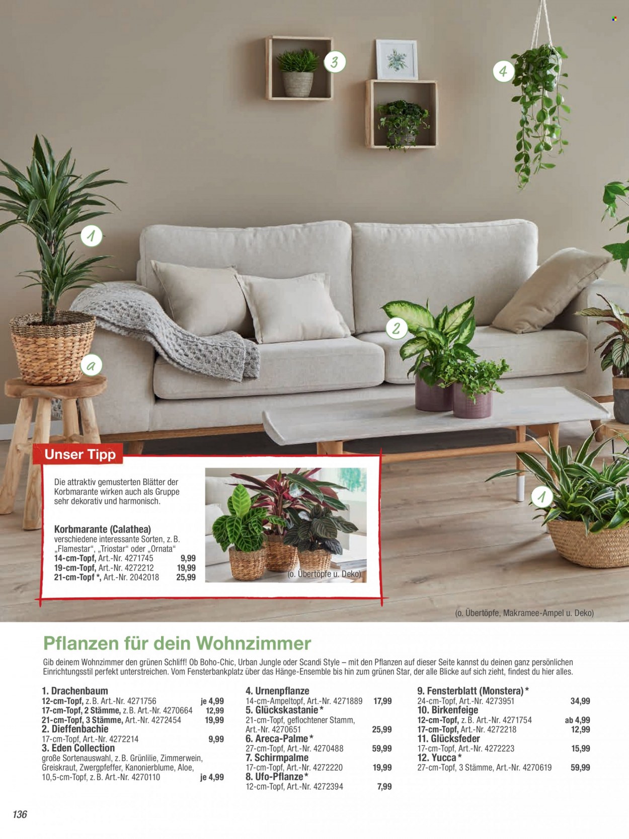 toom Baumarkt Prospekte  - 2.09.2022 - 31.03.2023. Seite 136