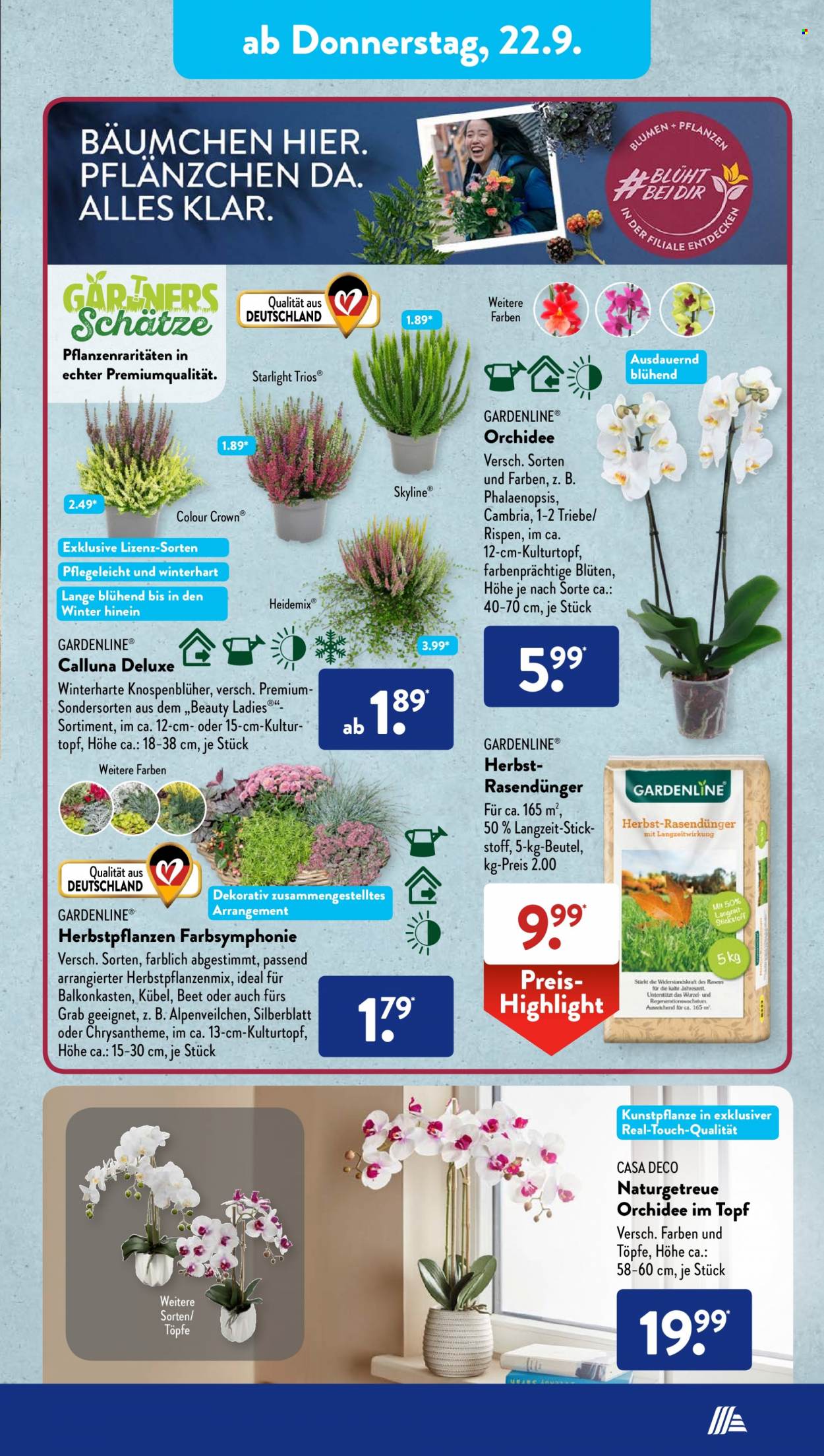 ALDI SÜD Prospekte . Seite 13