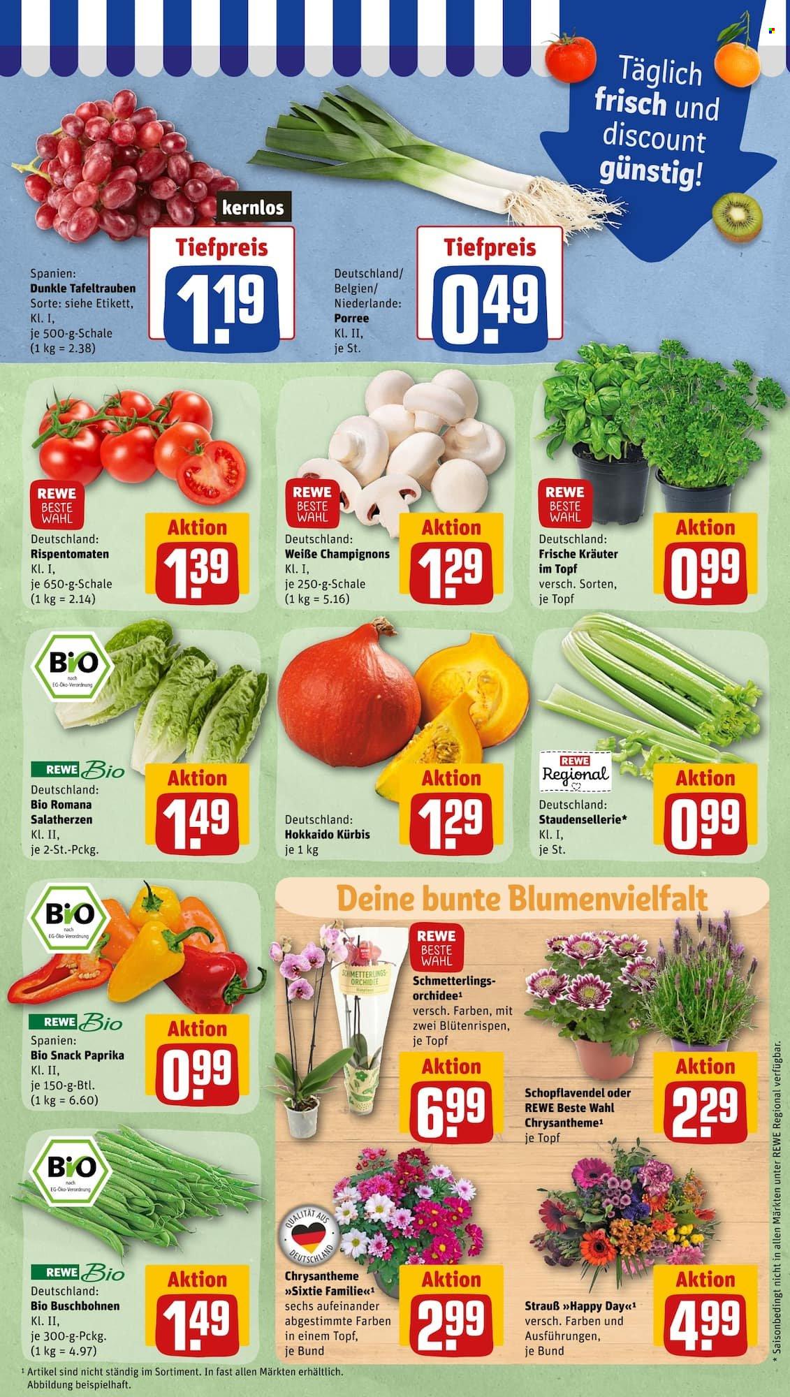 Leták REWE - 5.9.2022 - 10.9.2022. Strana 5