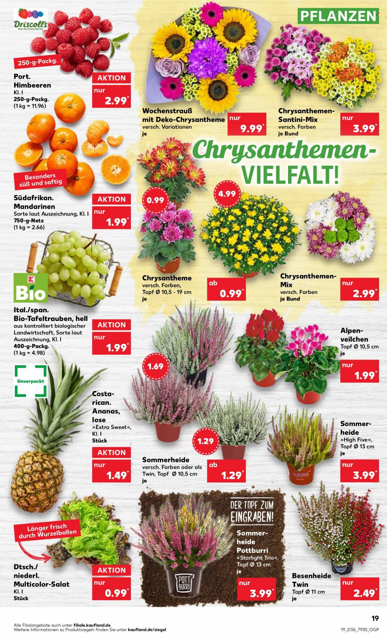 Kaufland Prospekte  - 8.09.2022 - 14.09.2022. Seite 19