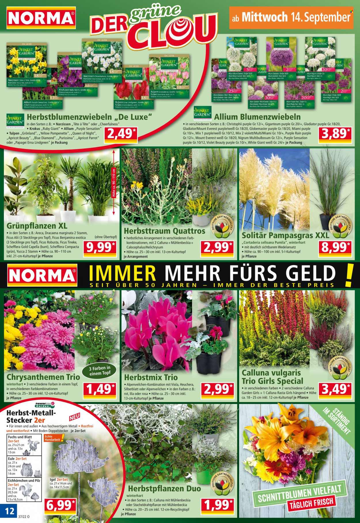 Norma Prospekte  - 12.09.2022 - 18.09.2022. Seite 12
