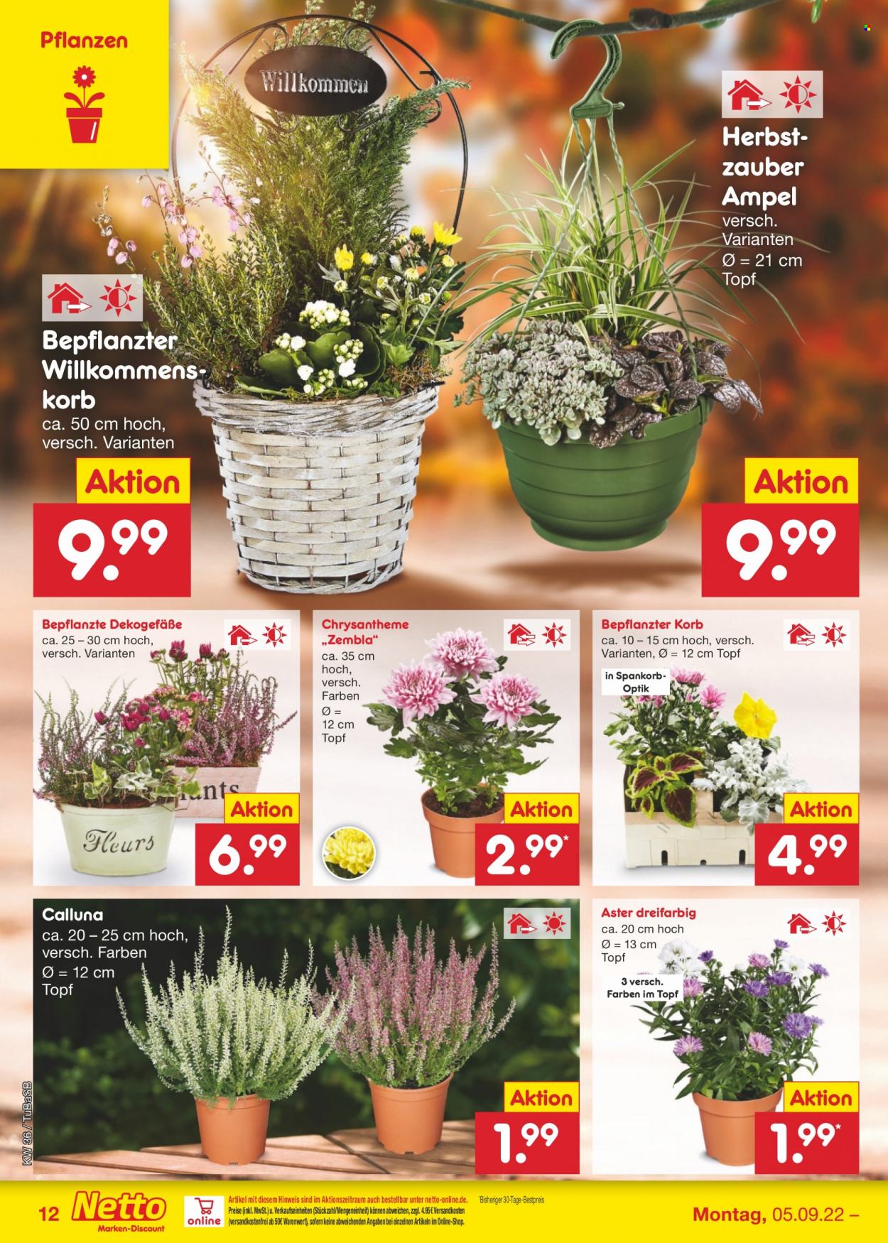 Netto Marken-Discount Prospekte  - 5.09.2022 - 10.09.2022. Seite 12