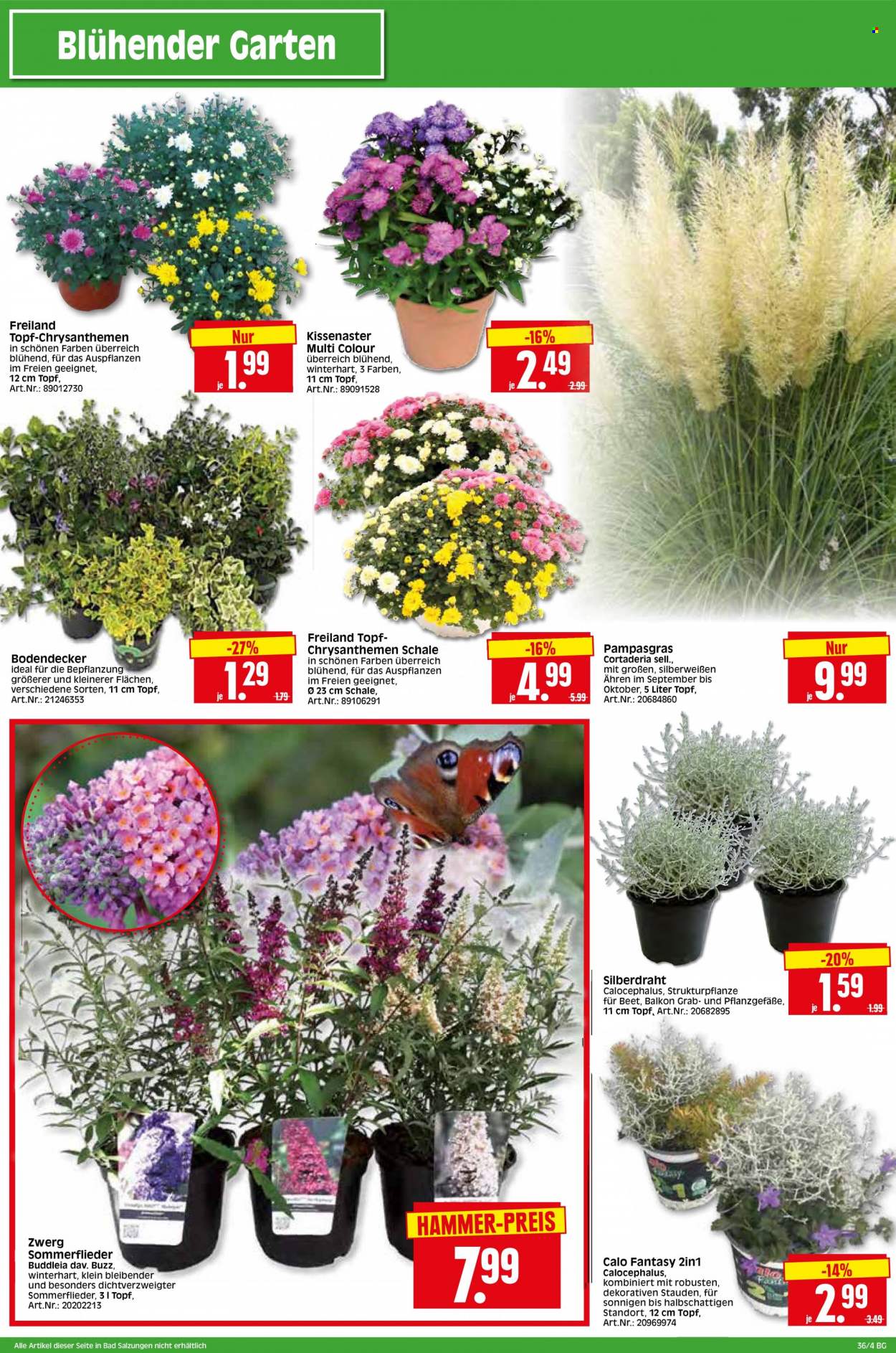 Edeka Prospekte  - 5.09.2022 - 10.09.2022. Seite 28