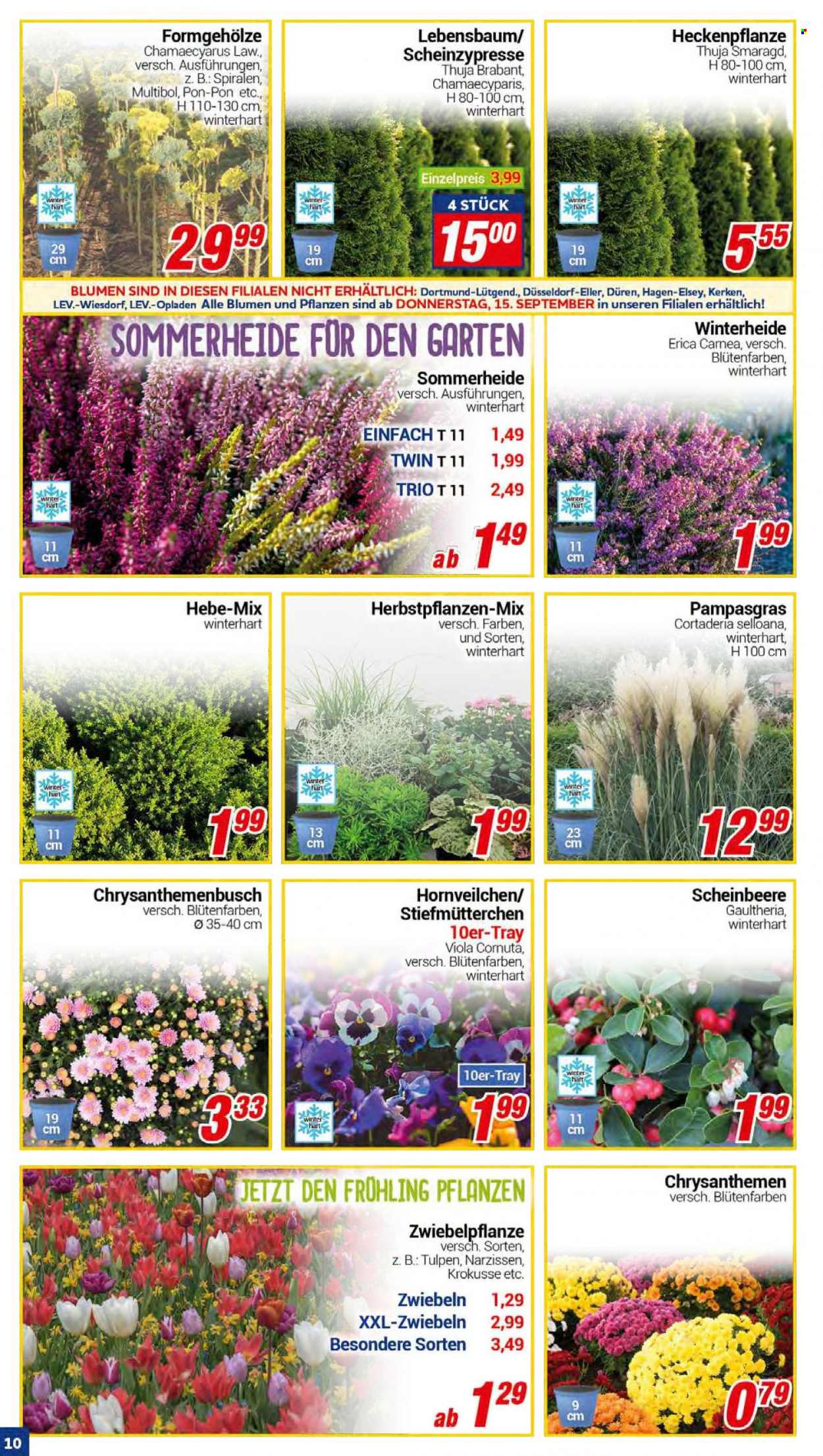 CENTERSHOP Prospekte  - 12.09.2022 - 17.09.2022. Seite 10