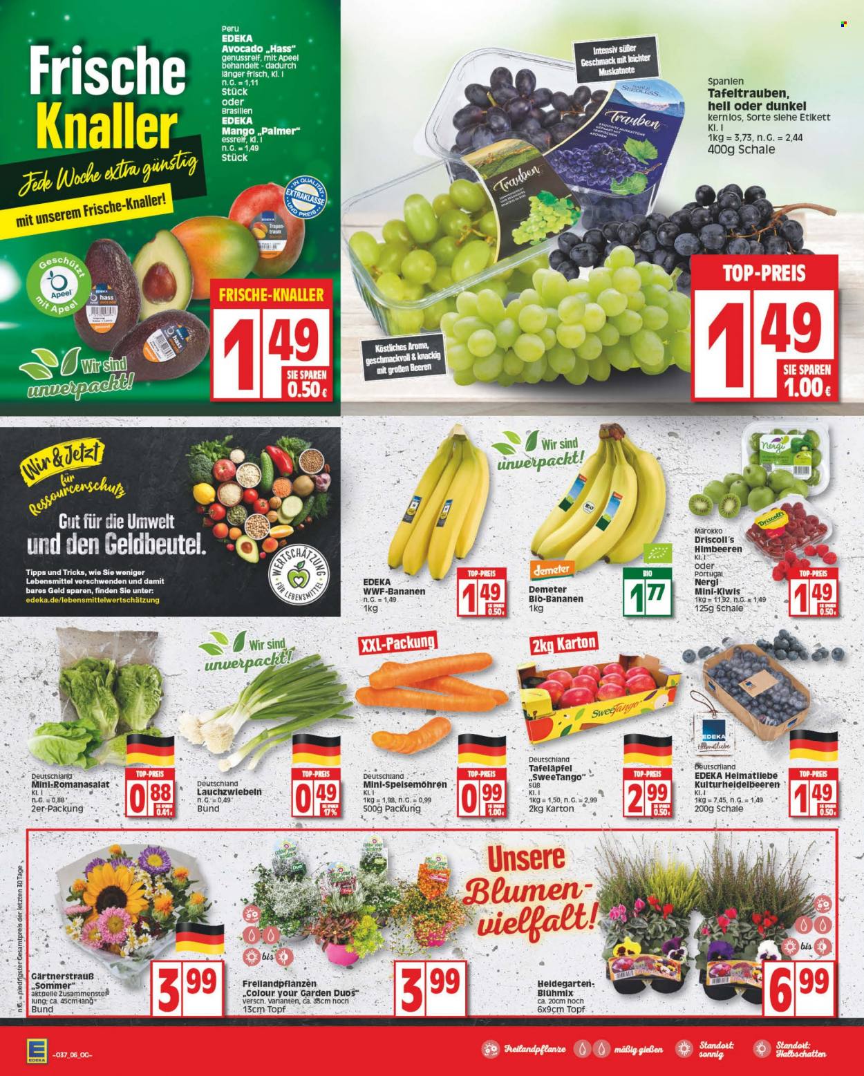 Edeka Prospekte  - 12.09.2022 - 17.09.2022. Seite 6