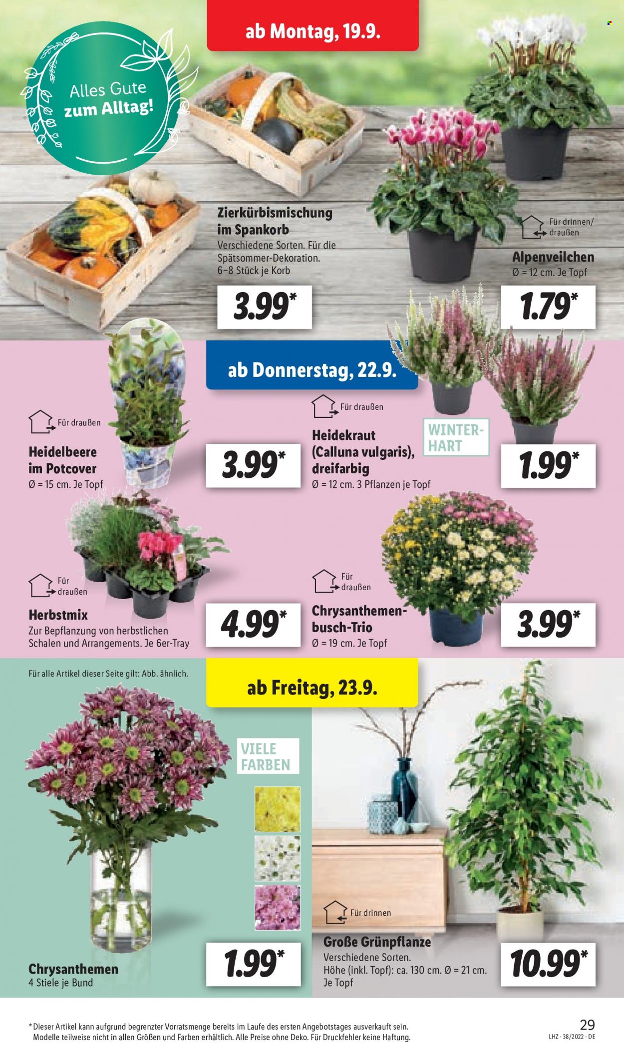 Lidl Prospekte  - 19.09.2022 - 24.09.2022. Seite 29