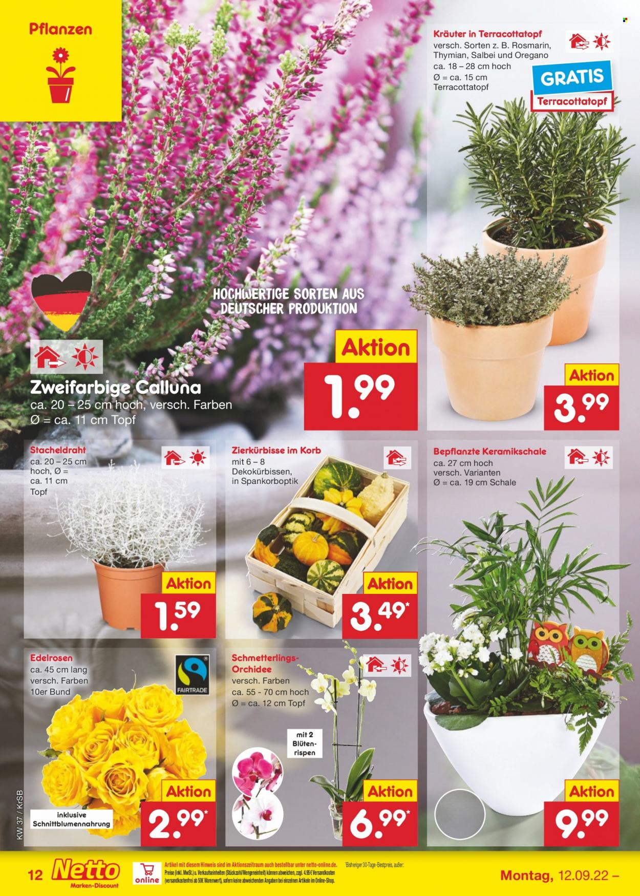 Netto Marken-Discount Prospekte  - 12.09.2022 - 17.09.2022. Seite 12