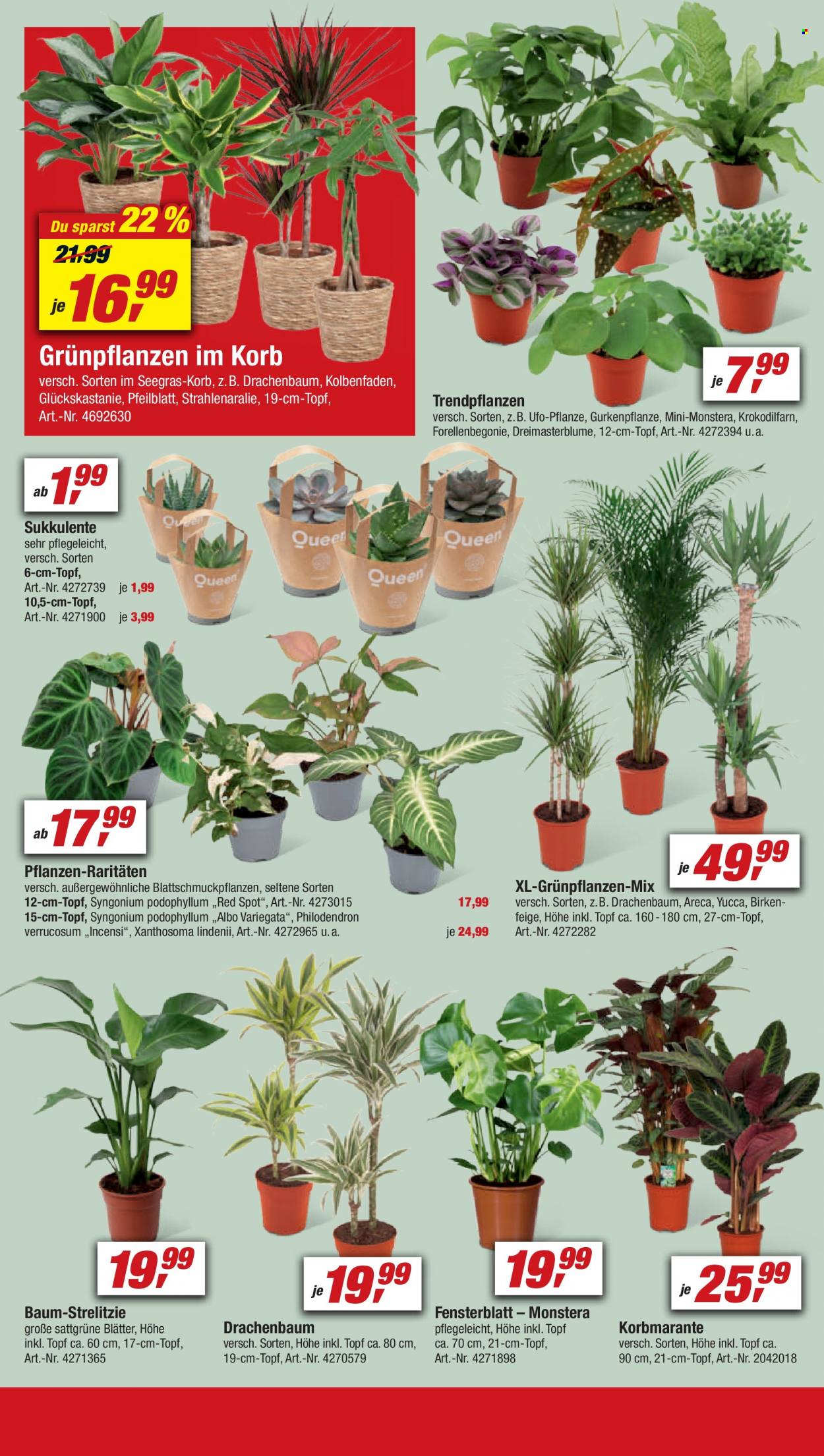 toom Baumarkt Prospekte  - 10.09.2022 - 16.09.2022. Seite 6