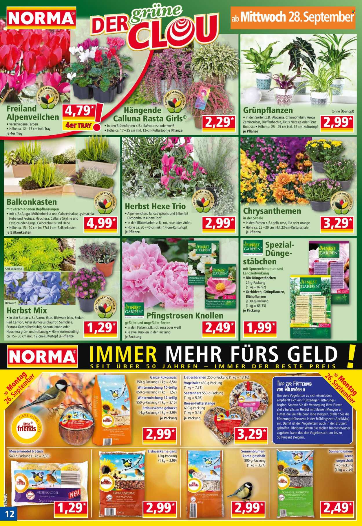 Norma Prospekte  - 26.09.2022 - 2.10.2022. Seite 12