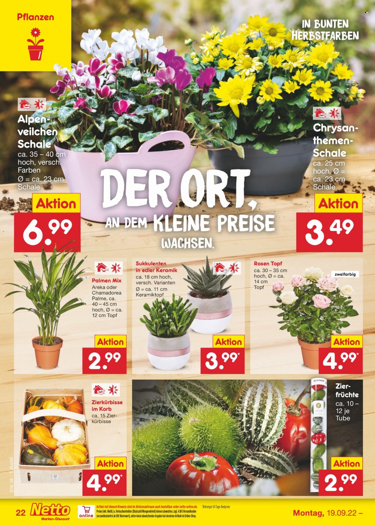 Netto Marken-Discount Prospekte  - 19.09.2022 - 24.09.2022. Seite 22
