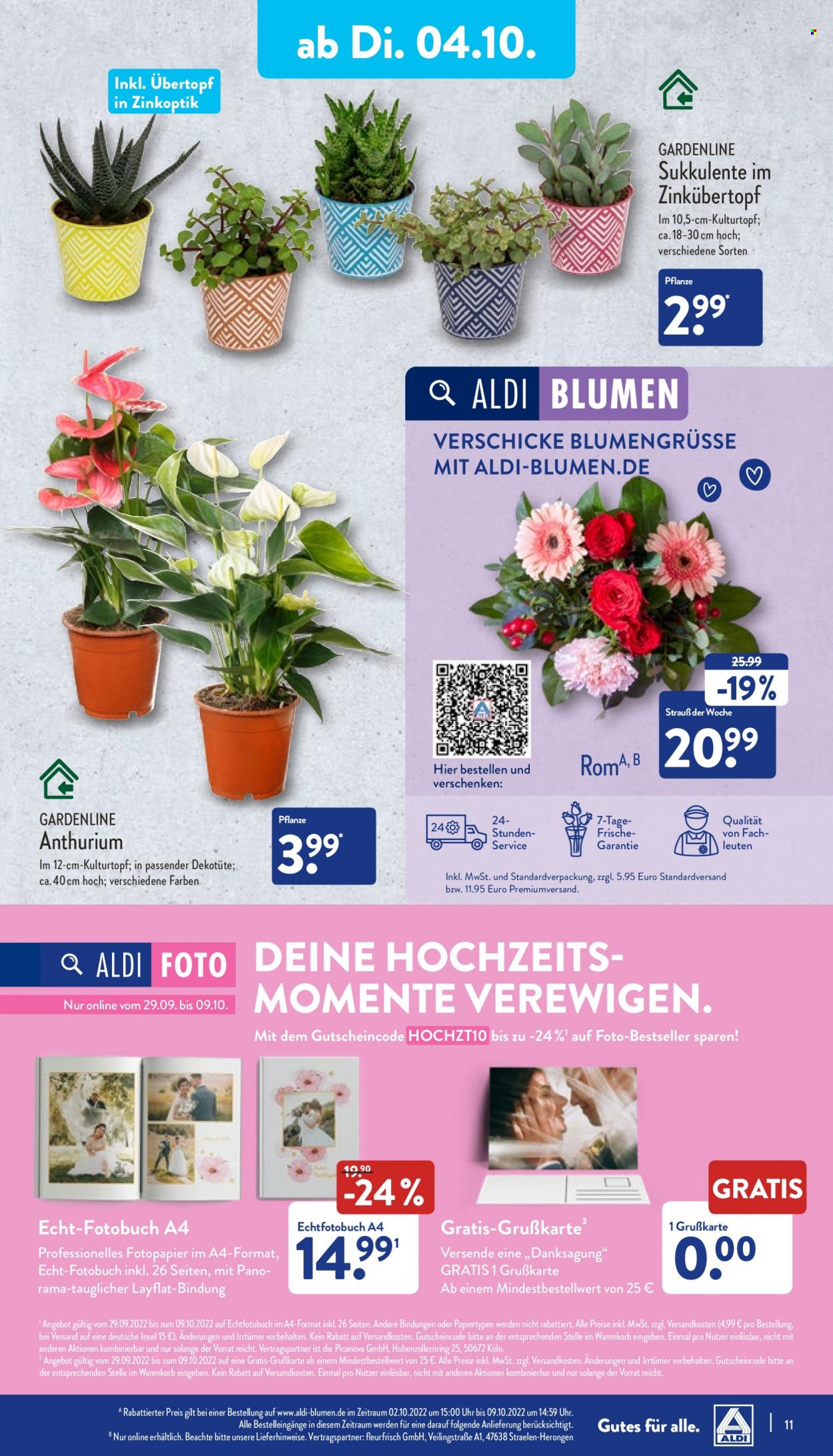ALDI Nord Prospekte  - 4.10.2022 - 8.10.2022. Seite 11