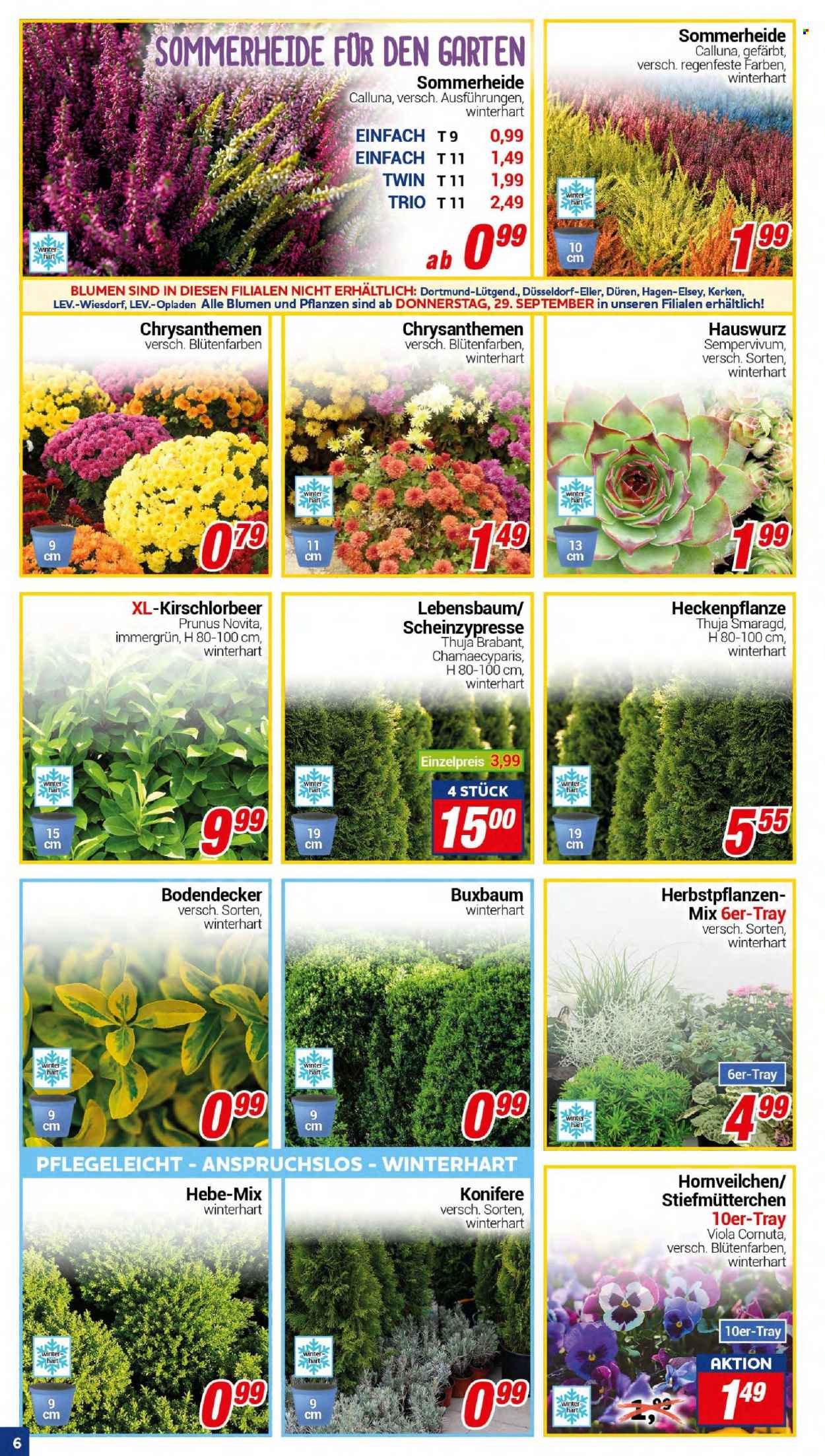 CENTERSHOP Prospekte  - 26.09.2022 - 1.10.2022. Seite 6