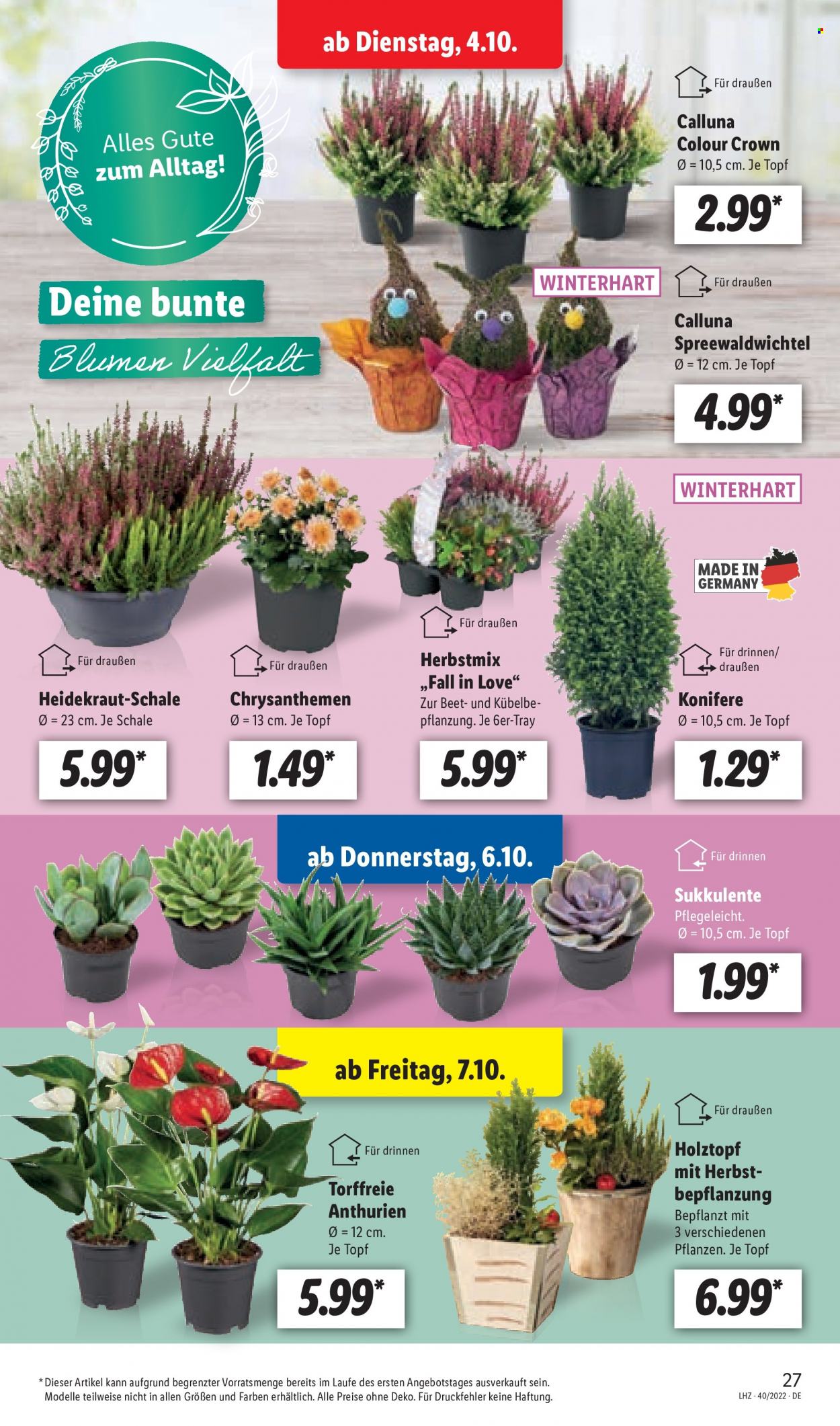 Lidl Prospekte  - 30.09.2022 - 30.09.2022. Seite 29