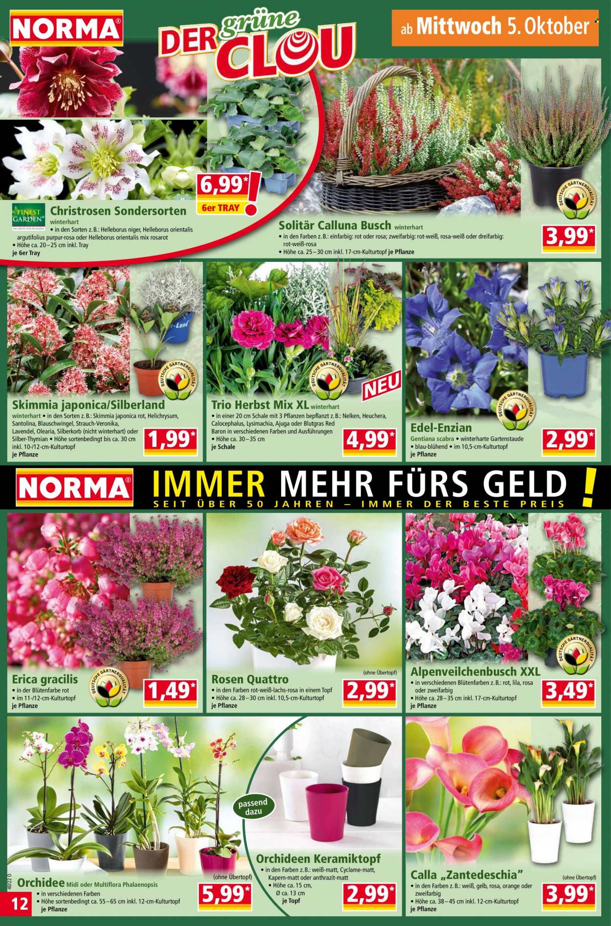Norma Prospekte  - 4.10.2022 - 9.10.2022. Seite 12