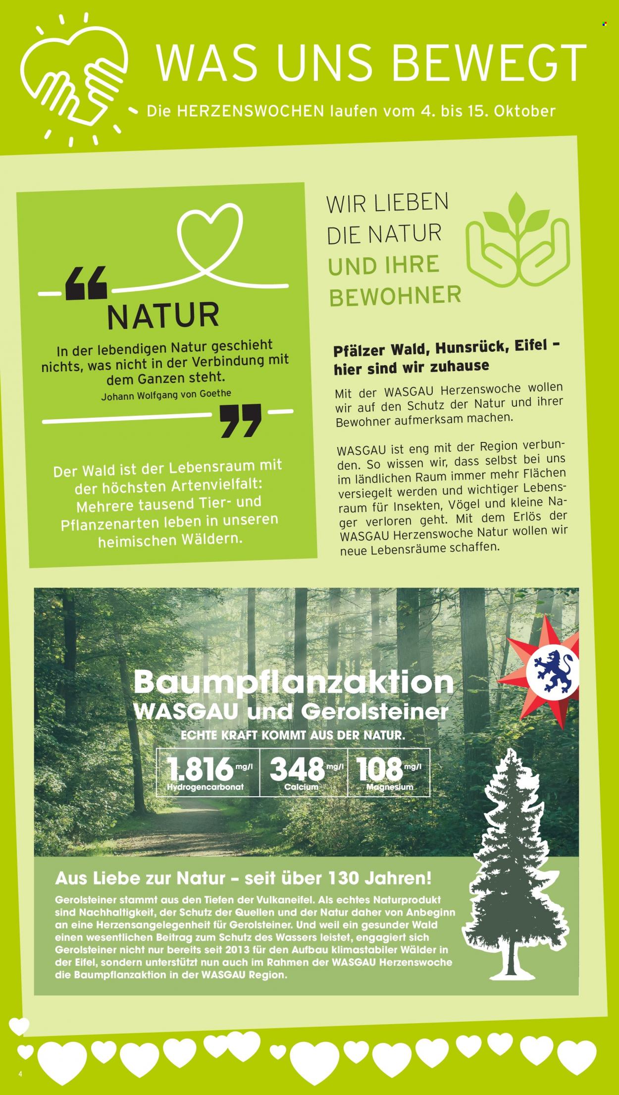 Wasgau Prospekte  - 4.10.2022 - 8.10.2022. Seite 4