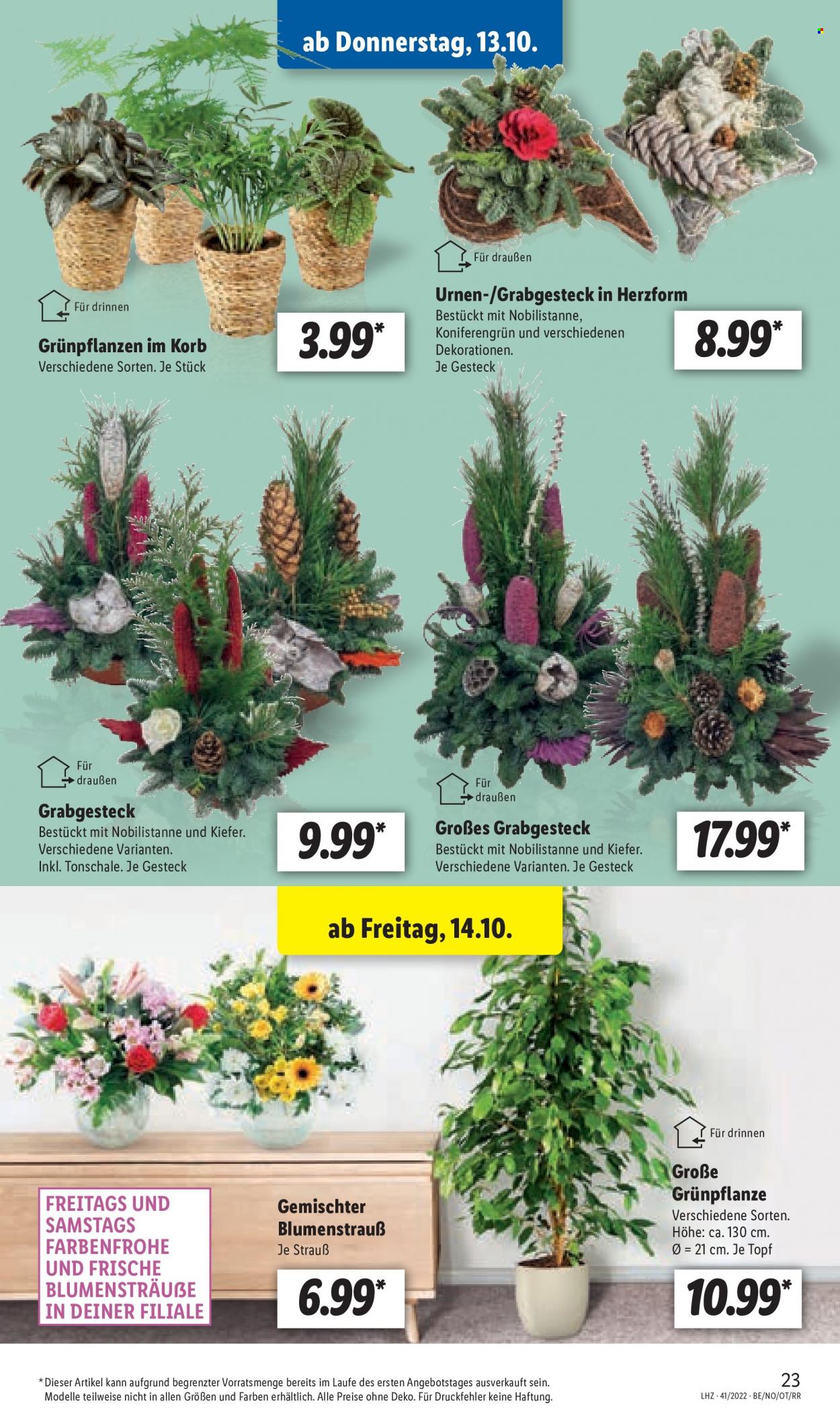Lidl Prospekte  - 1.10.2022 - 1.10.2022. Seite 25