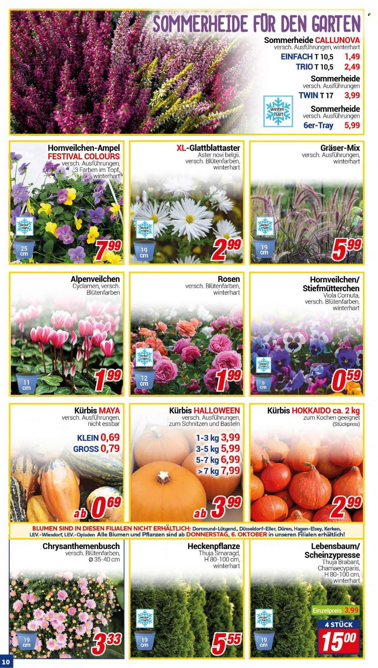 CENTERSHOP Prospekte  - 4.10.2022 - 8.10.2022. Seite 10