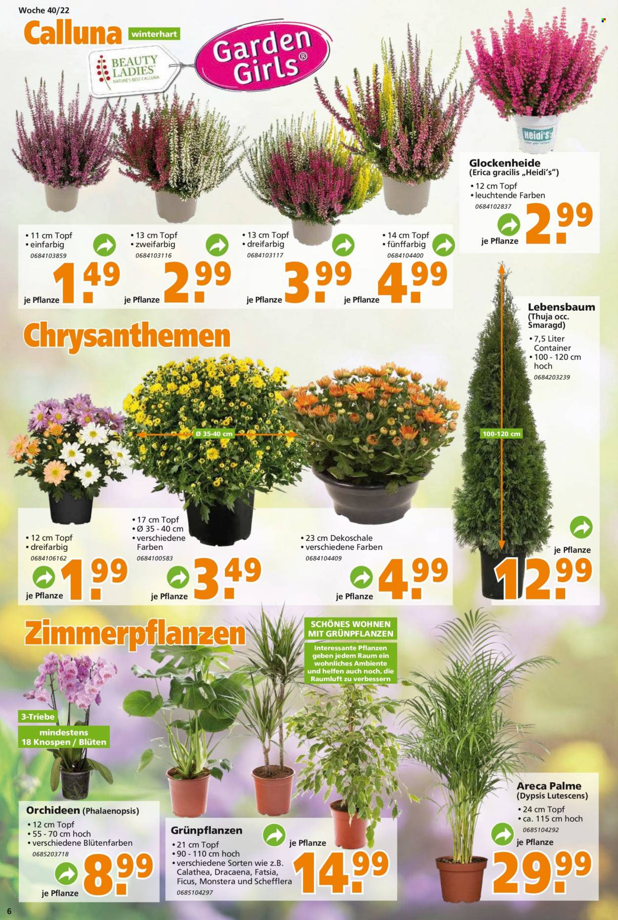 Globus Baumarkt Prospekte  - 3.10.2022 - 8.10.2022. Seite 6