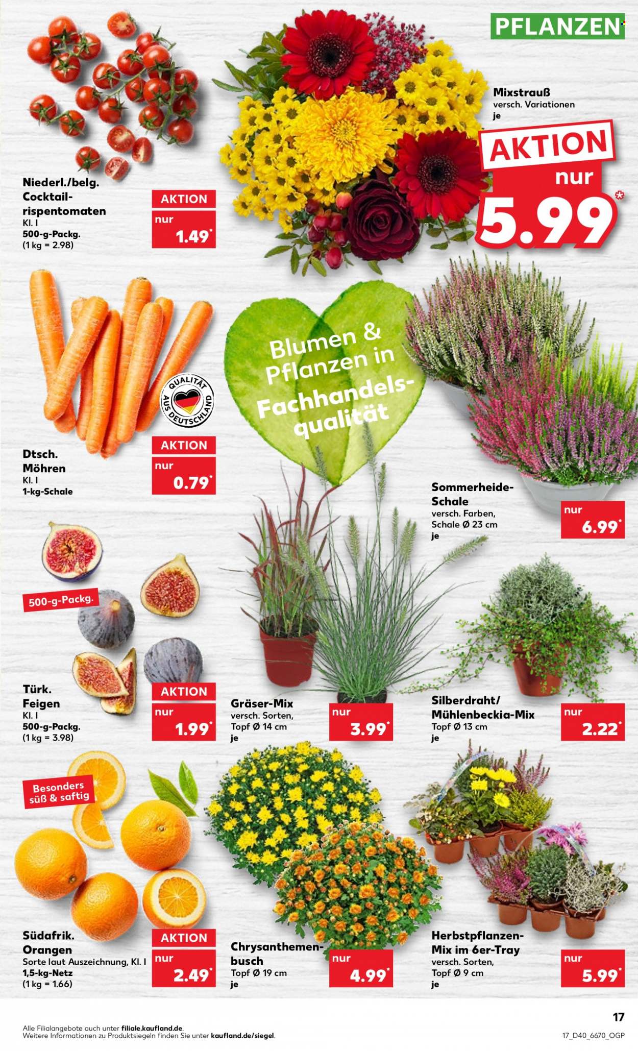 Kaufland Prospekte  - 6.10.2022 - 12.10.2022. Seite 17