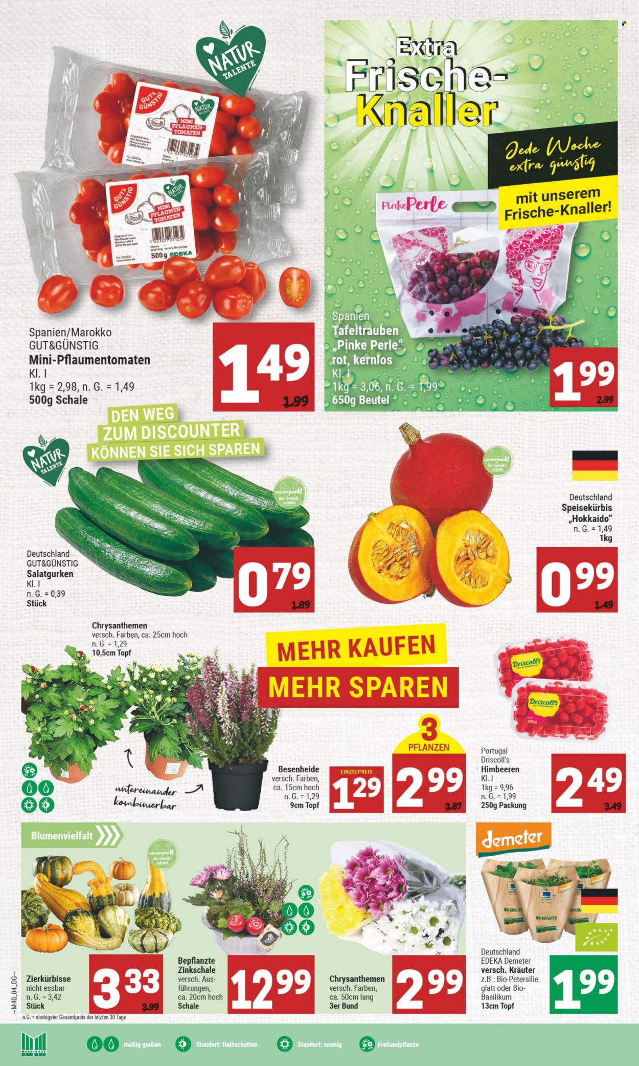 Marktkauf Prospekte  - 4.10.2022 - 8.10.2022. Seite 4