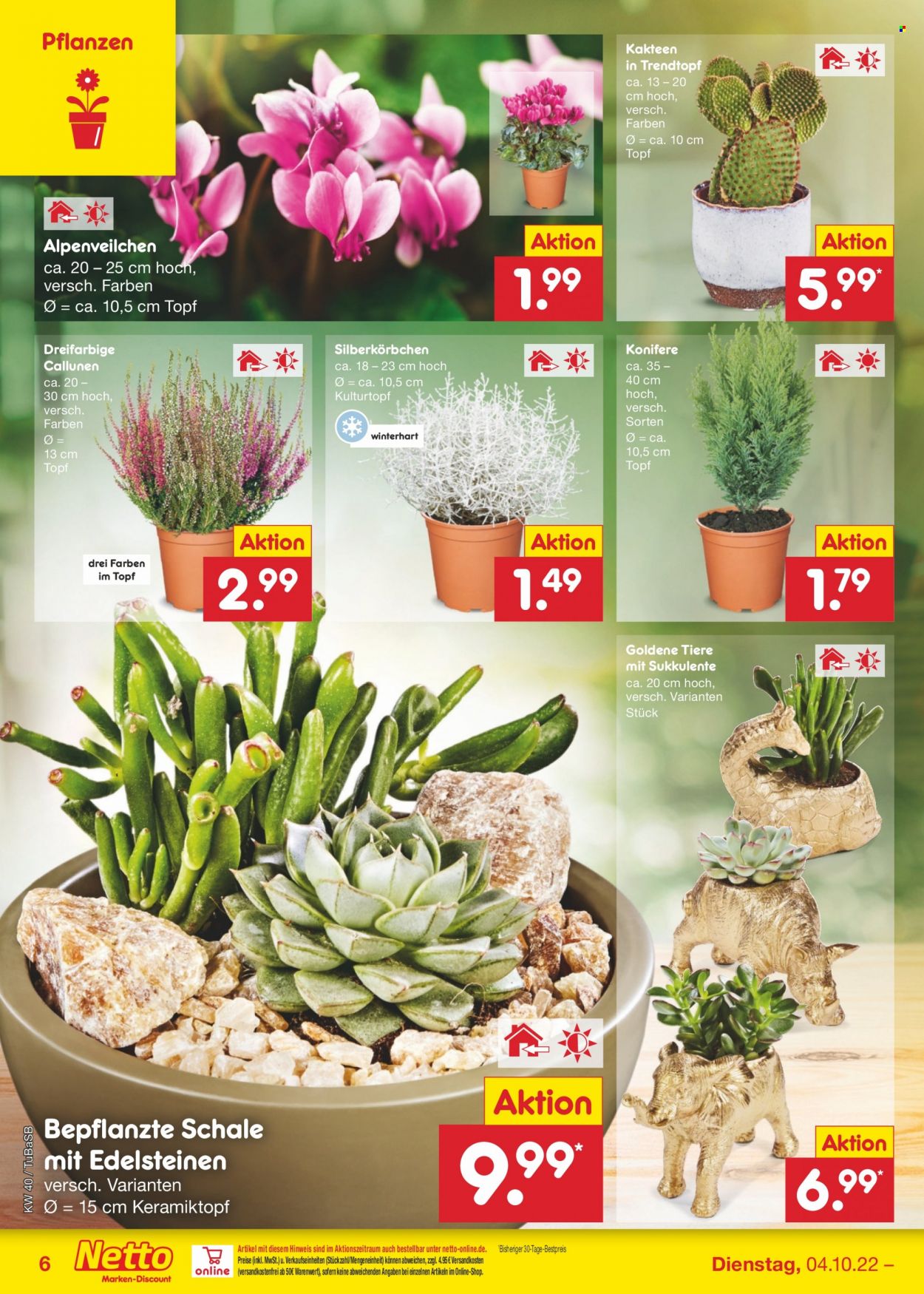 Netto Marken-Discount Prospekte  - 4.10.2022 - 8.10.2022. Seite 6