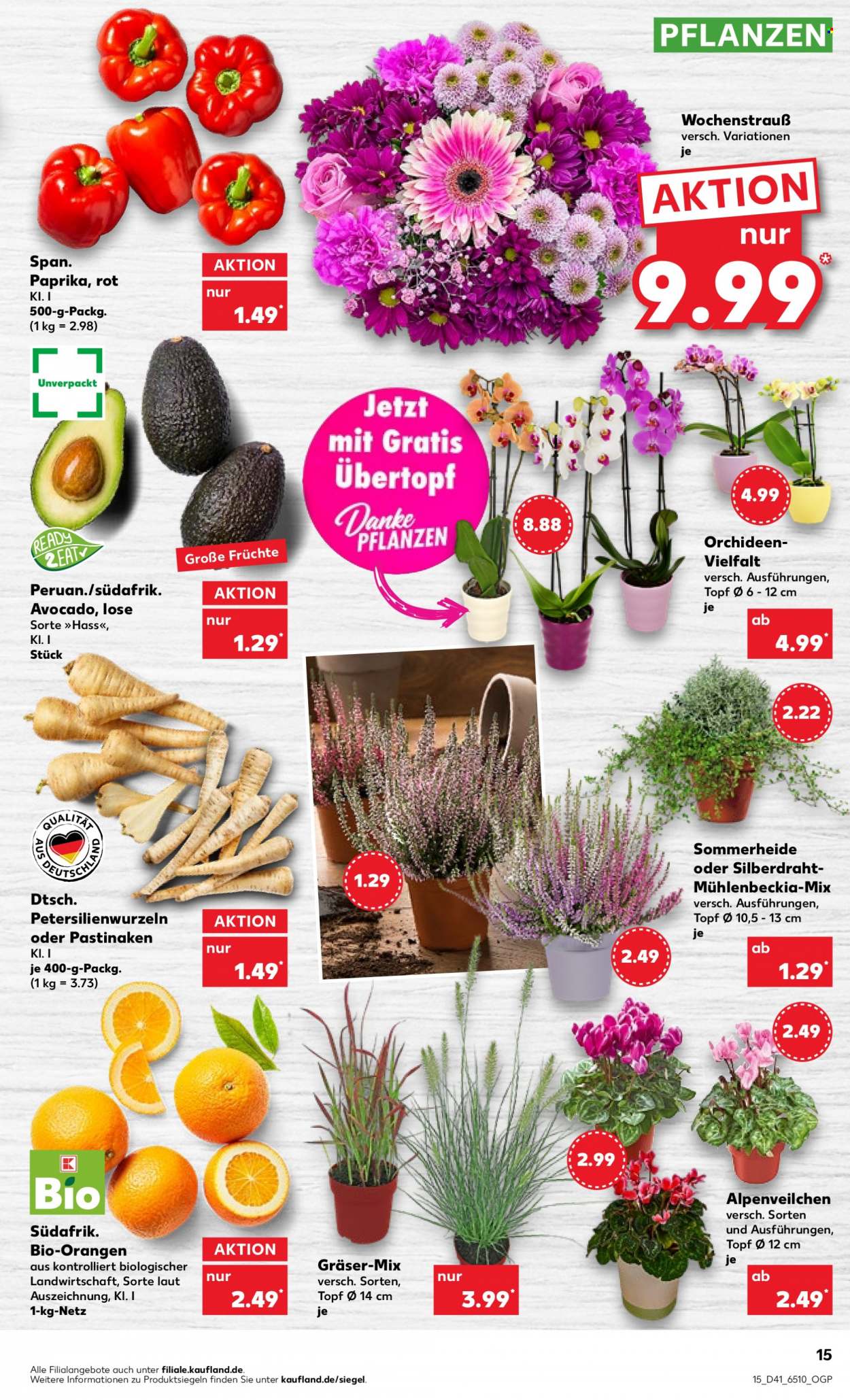 Kaufland Prospekte  - 13.10.2022 - 19.10.2022. Seite 15