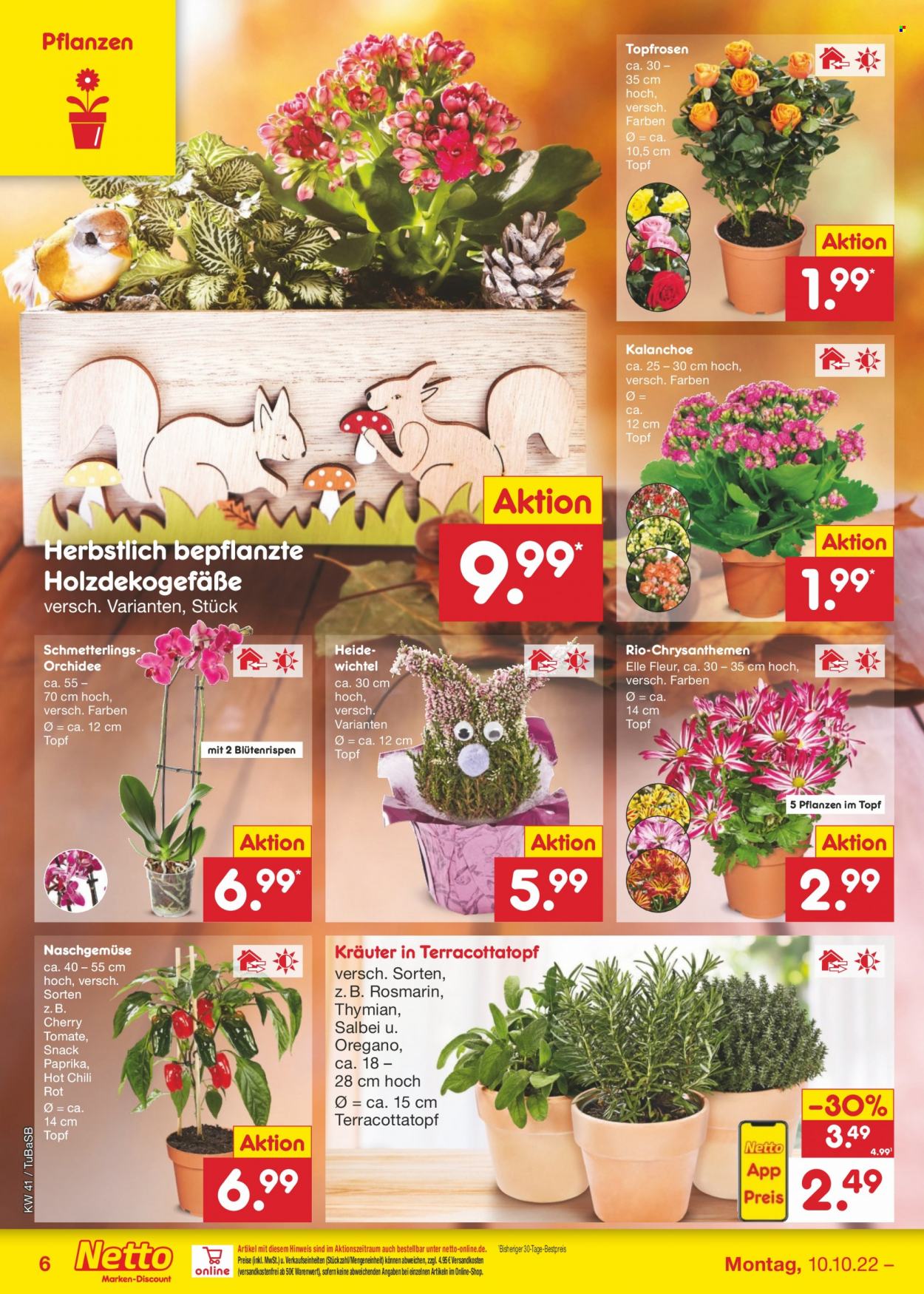 Netto Marken-Discount Prospekte  - 10.10.2022 - 15.10.2022. Seite 6