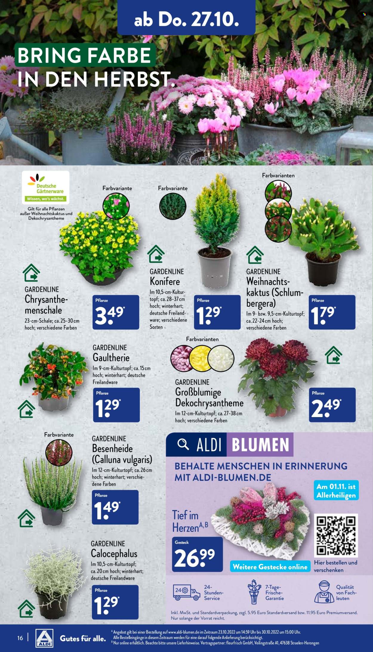 ALDI Nord Prospekte  - 24.10.2022 - 29.10.2022. Seite 16