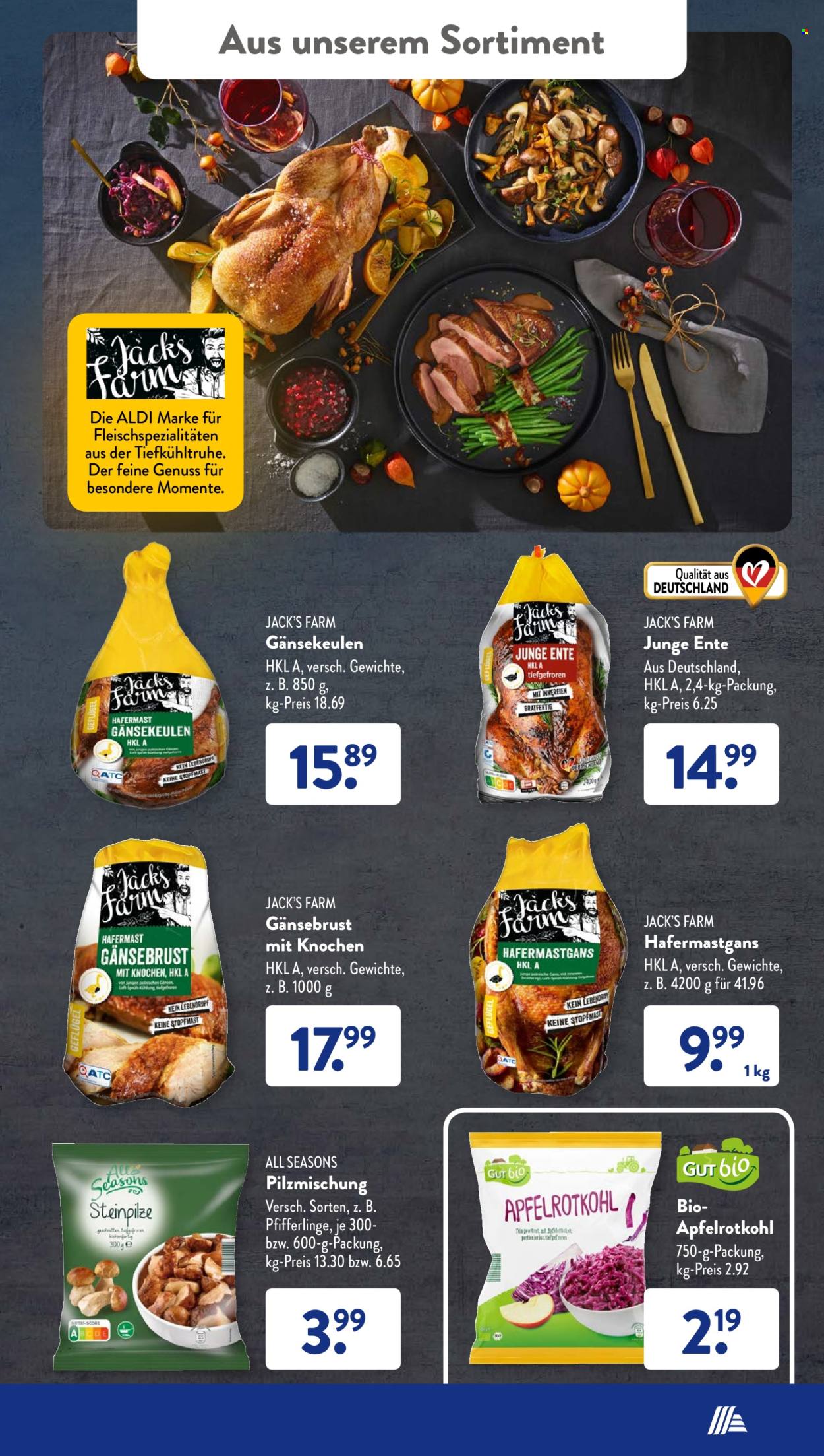 ALDI SÜD Prospekte  - 17.10.2022 - 22.10.2022. Seite 51