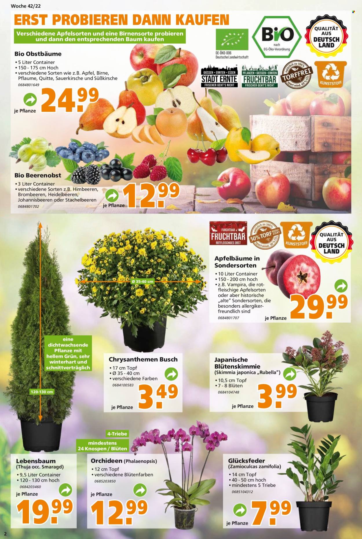 Globus Baumarkt Prospekte  - 17.10.2022 - 22.10.2022. Seite 2