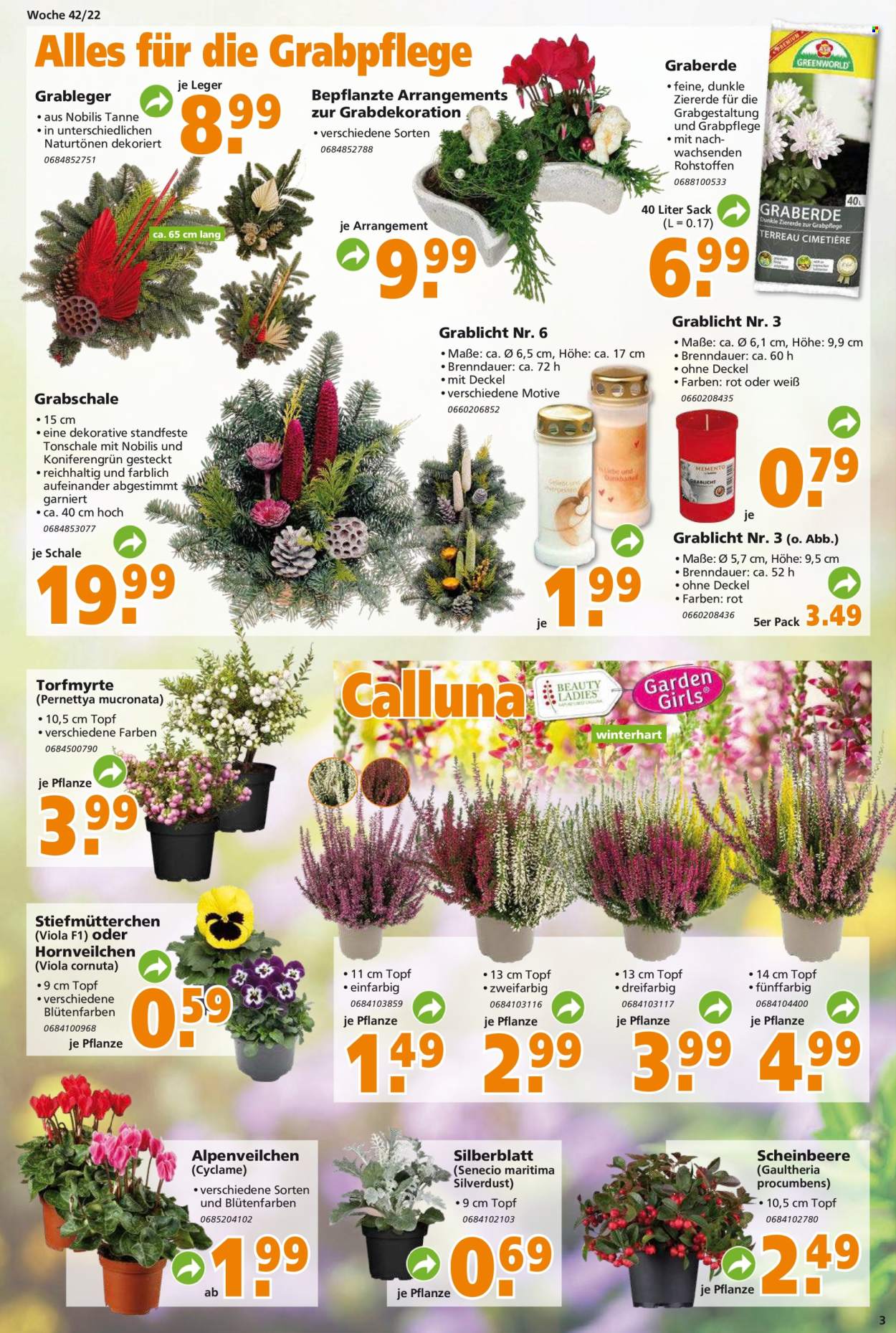 Globus Baumarkt Prospekte  - 17.10.2022 - 22.10.2022. Seite 3