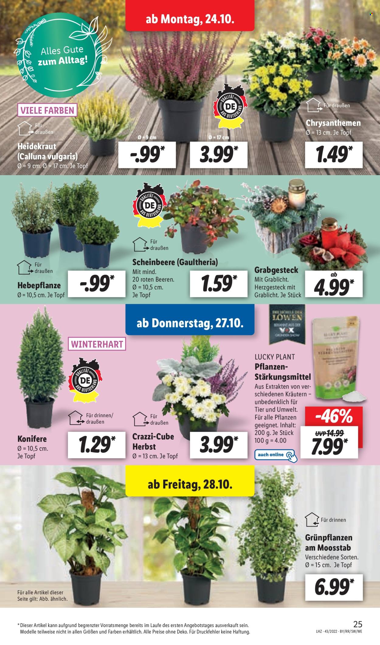 Lidl Prospekte  - 17.10.2022 - 17.10.2022. Seite 27