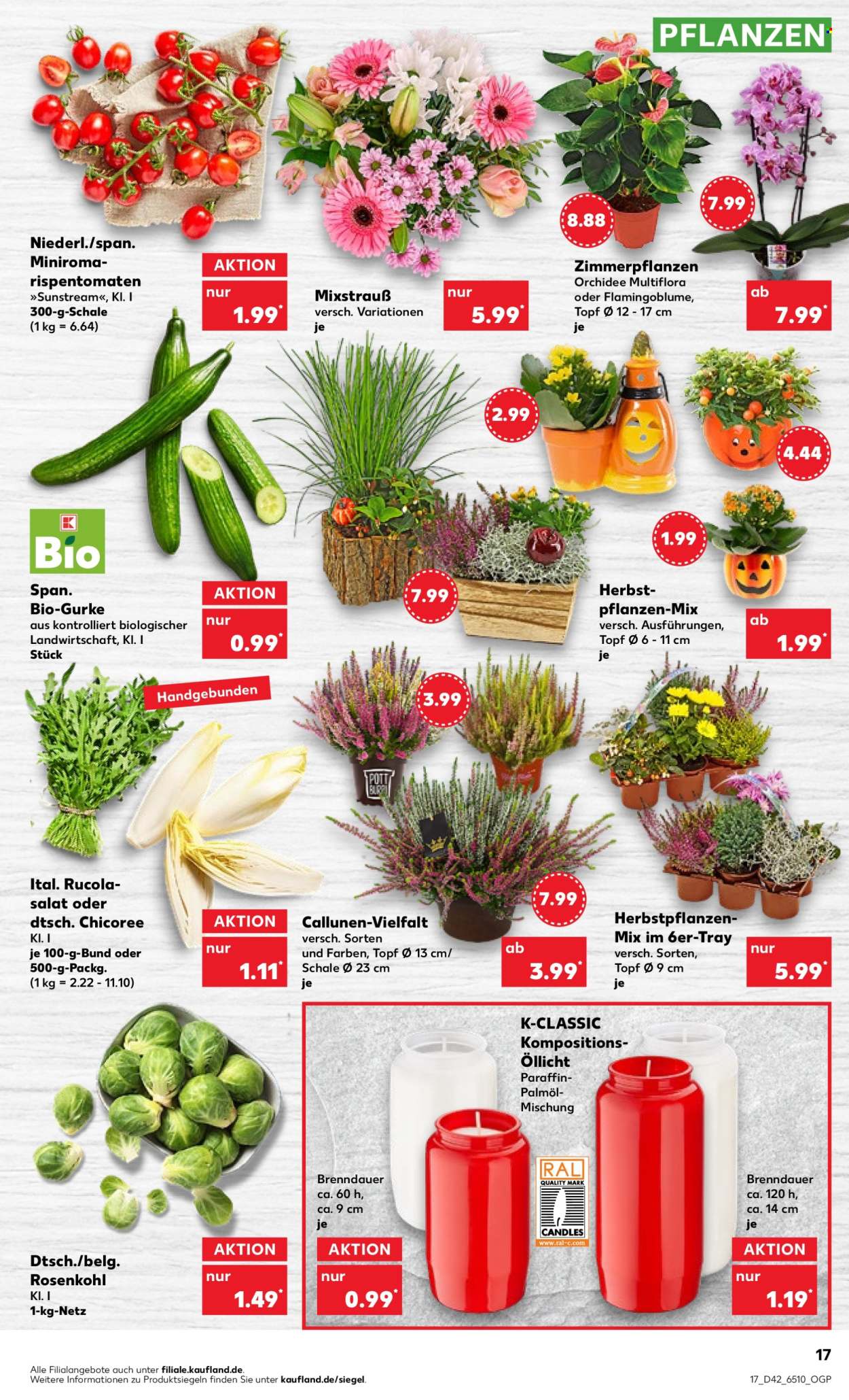 Kaufland Prospekte  - 20.10.2022 - 26.10.2022. Seite 17