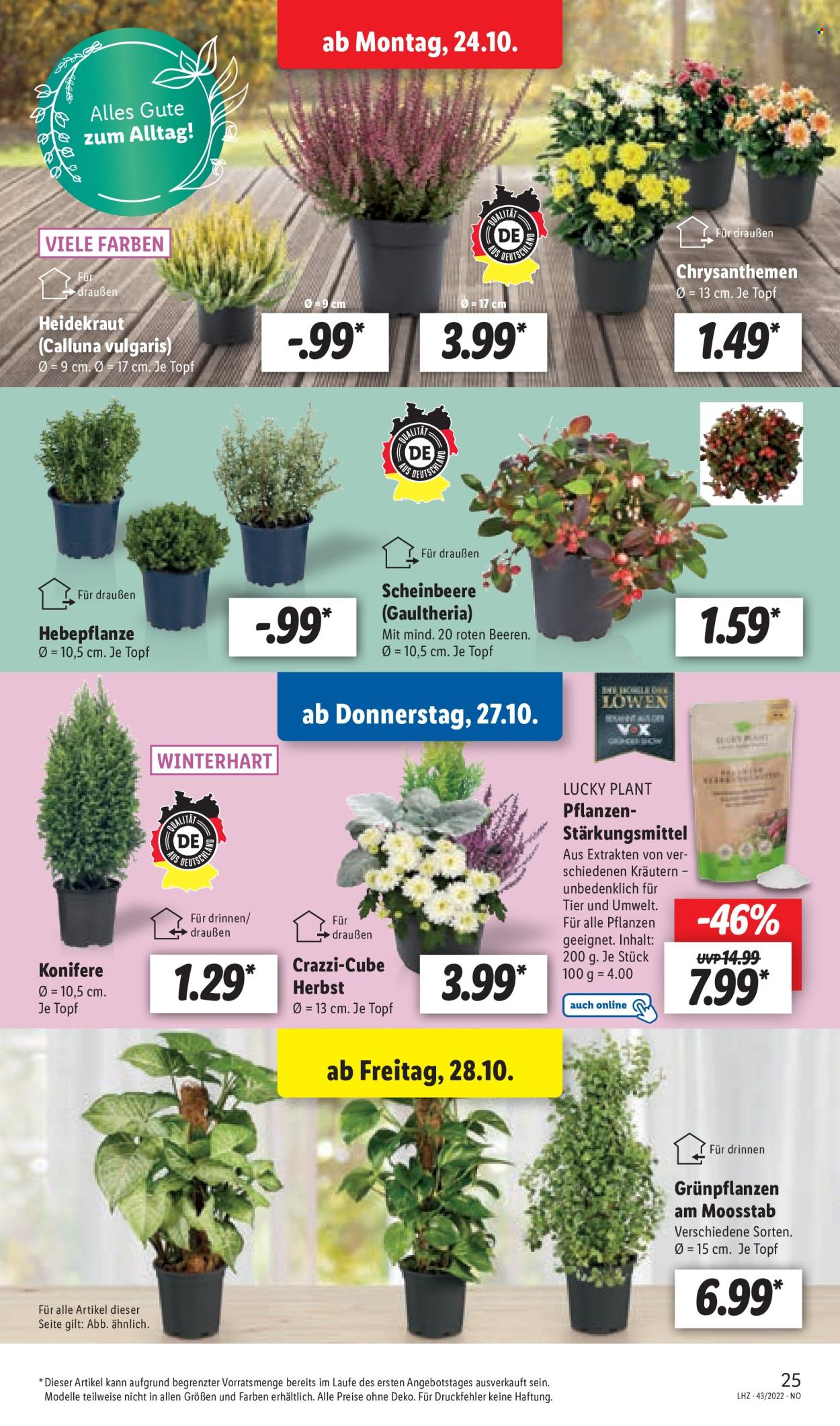Lidl Prospekte  - 24.10.2022 - 29.10.2022. Seite 27