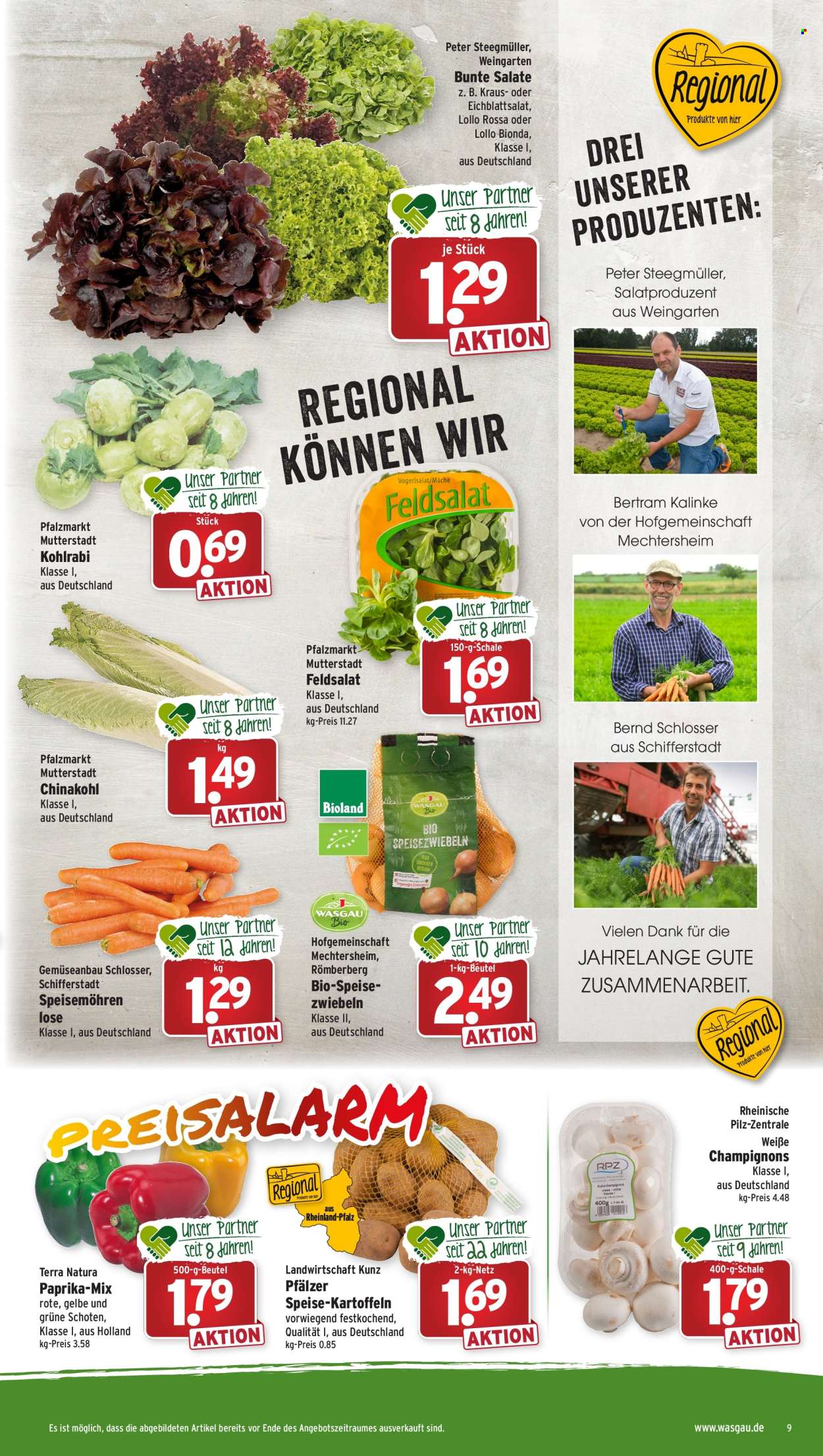 Wasgau Prospekte  - 24.10.2022 - 29.10.2022. Seite 11