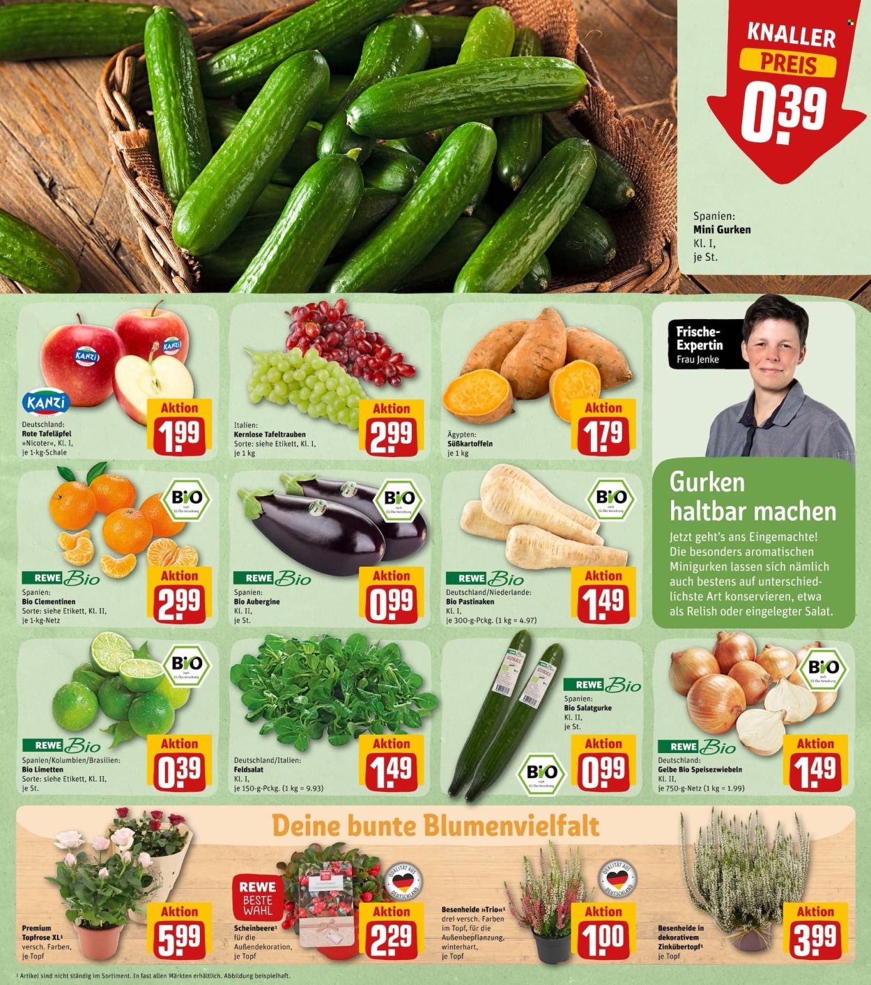 REWE Prospekte  - 24.10.2022 - 29.10.2022. Seite 5