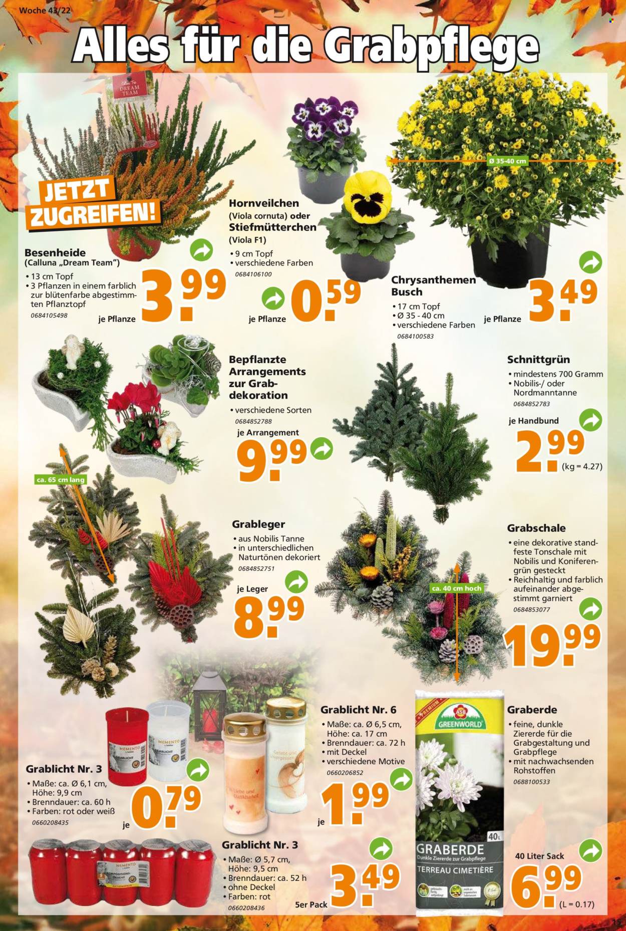 Globus Baumarkt Prospekte  - 24.10.2022 - 29.10.2022. Seite 15