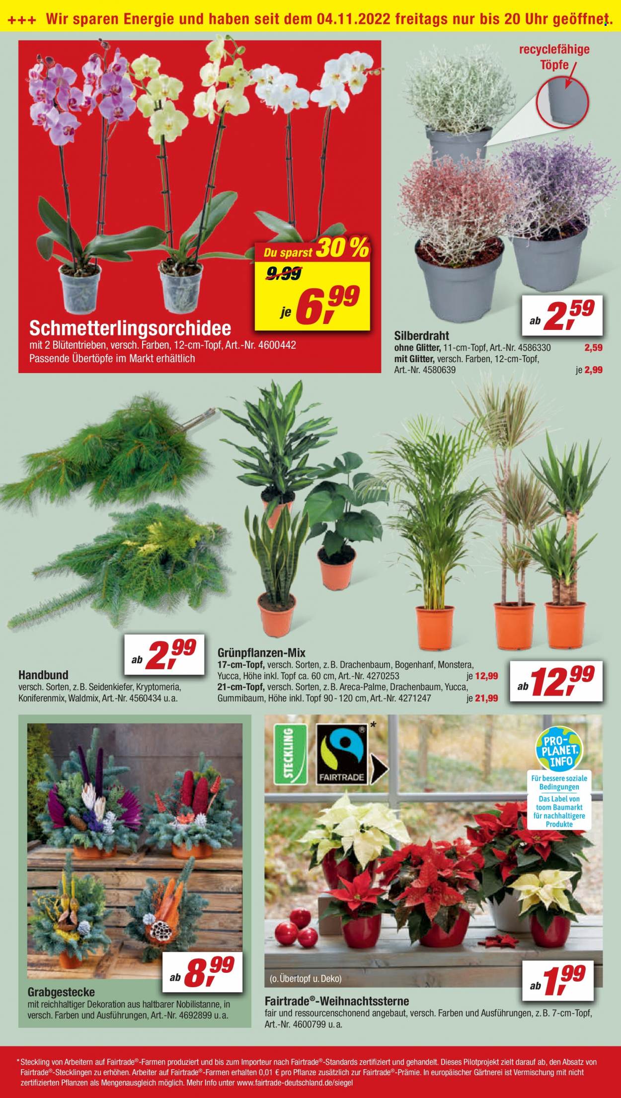 toom Baumarkt Prospekte  - 5.11.2022 - 11.11.2022. Seite 6