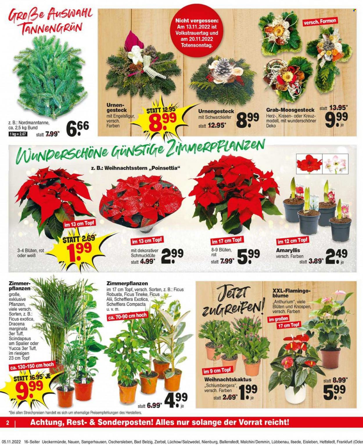 Repo Prospekte  - 7.11.2022 - 12.11.2022. Seite 2