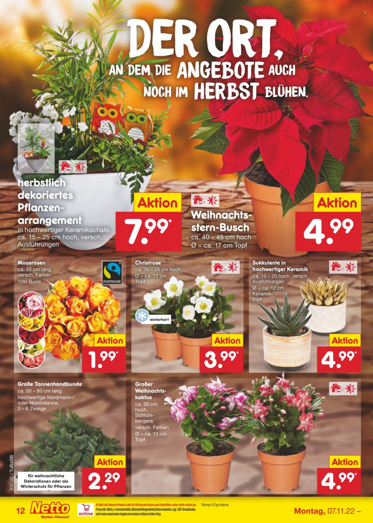 Netto Marken-Discount Prospekte  - 7.11.2022 - 12.11.2022. Seite 12